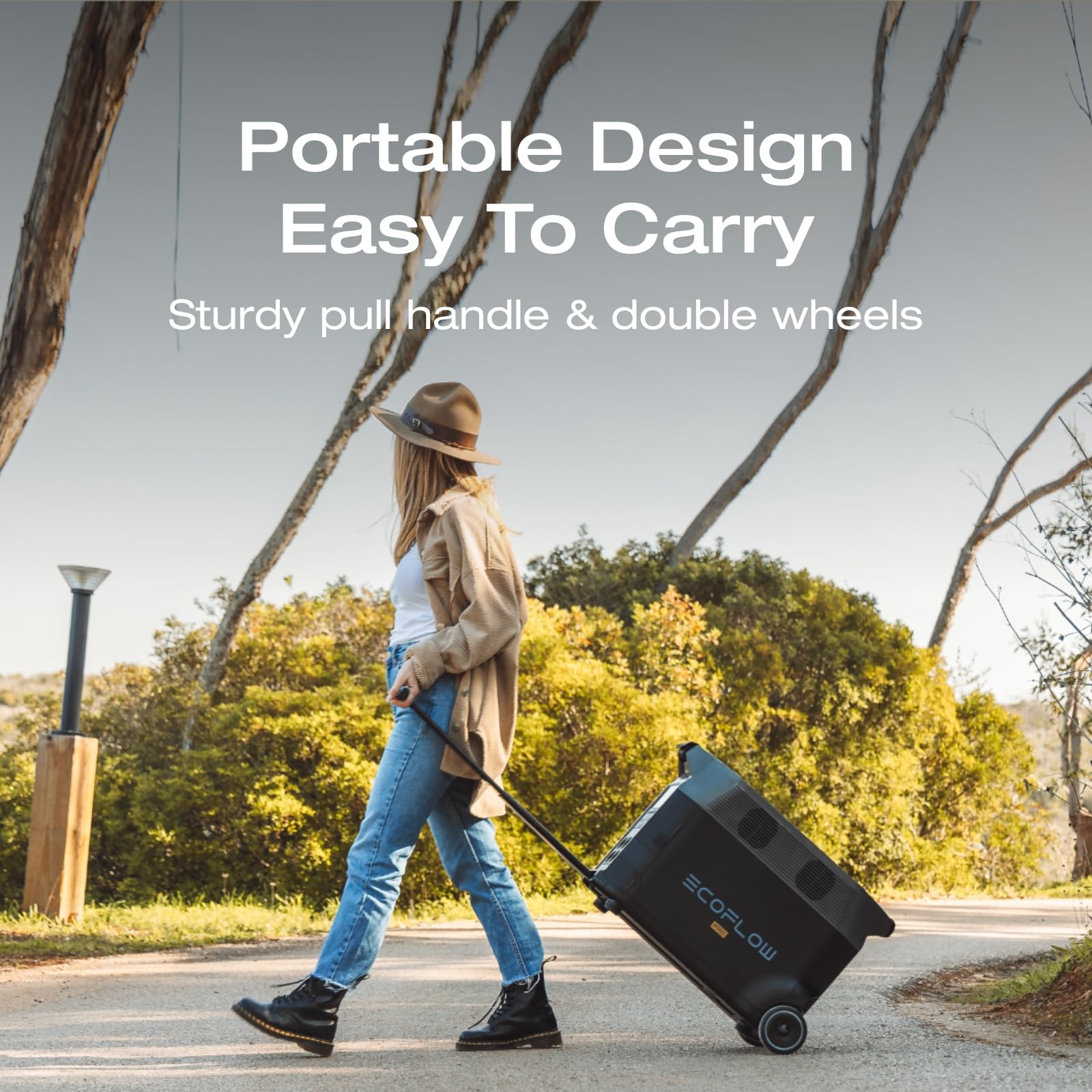 Ef Ecoflow Portable Power Station 3600Wh Delta Pro, 120V Ac Outlets X 5, 3600W, 2.7H Fast Charge, Lifepo4 Power Station, Solar G