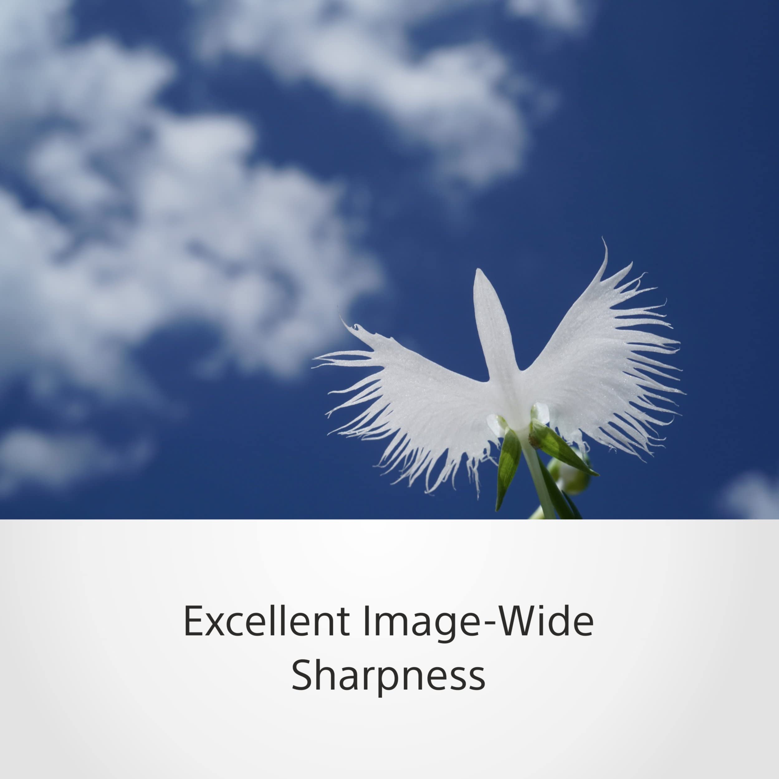 Sony SEL50M28 FE 50mm F2.8 Full Frame E mount Lens (Black)