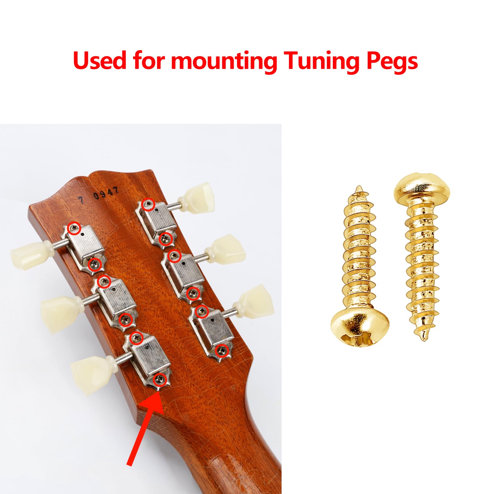 Banworks Stainless Steel American #2 X 3/8 Guitar Tuning Keys Pegs Screws Guitar/Bass Tuning Machine Head Screws For Gibson Les