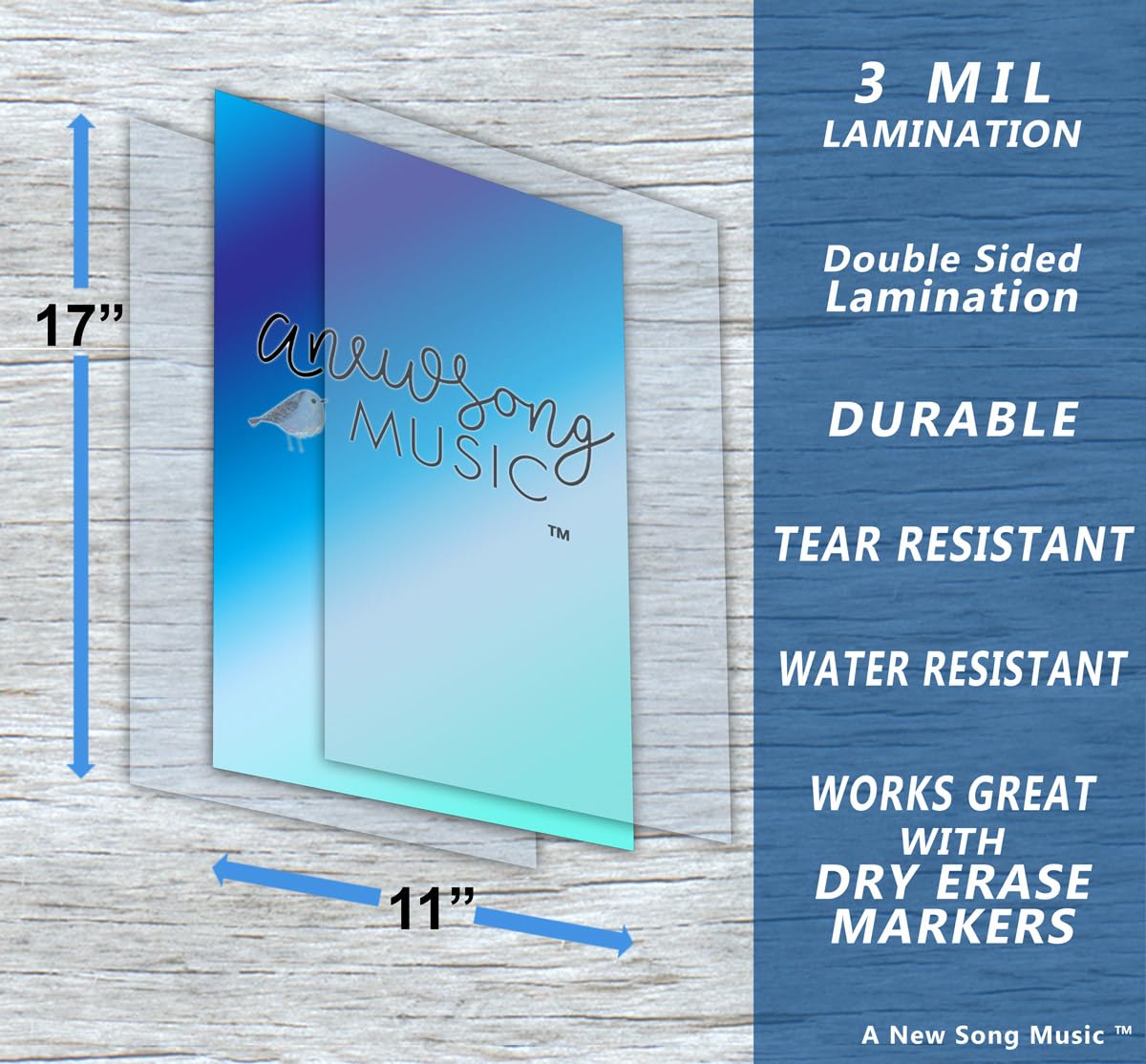 A New Song Music Laminated Guitar Fretboard & Chord Chart & Picks - Easy Instructional Poster For Beginner 4 Pick 11*17Inch