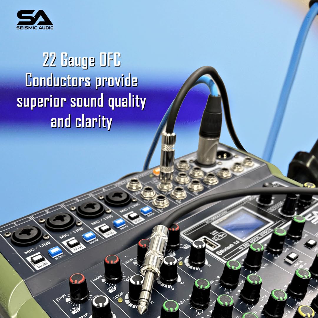 Seismic Audio - Satrx-10 - Purple 10 1/4 Trs To 1/4 Trs Patch Cable