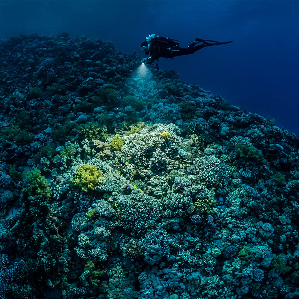 Sealife Micro 3.0 Pro Dual Beam Set With Sea Dragon 3000Sf Pro Dual Beam 3000 Cob Led Lumens Photo Video Light And Micro 3.0 Und