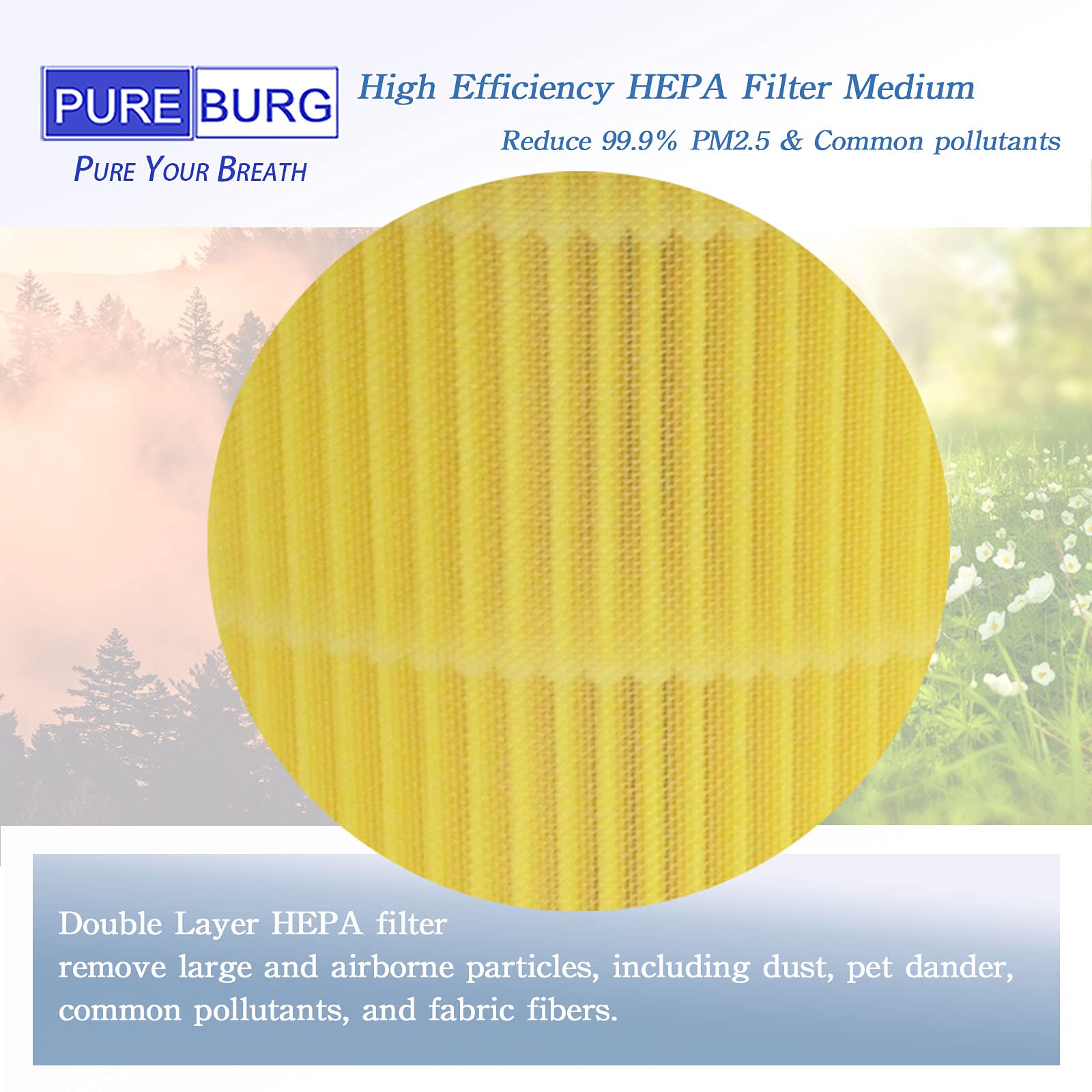 Pureburg Rp Ap088 Replacement True Hepa Filters Compatible With Renpho Rp Ap088 F1 Fits Rp Ap088W Rp Ap088B Medium Room Air Puri