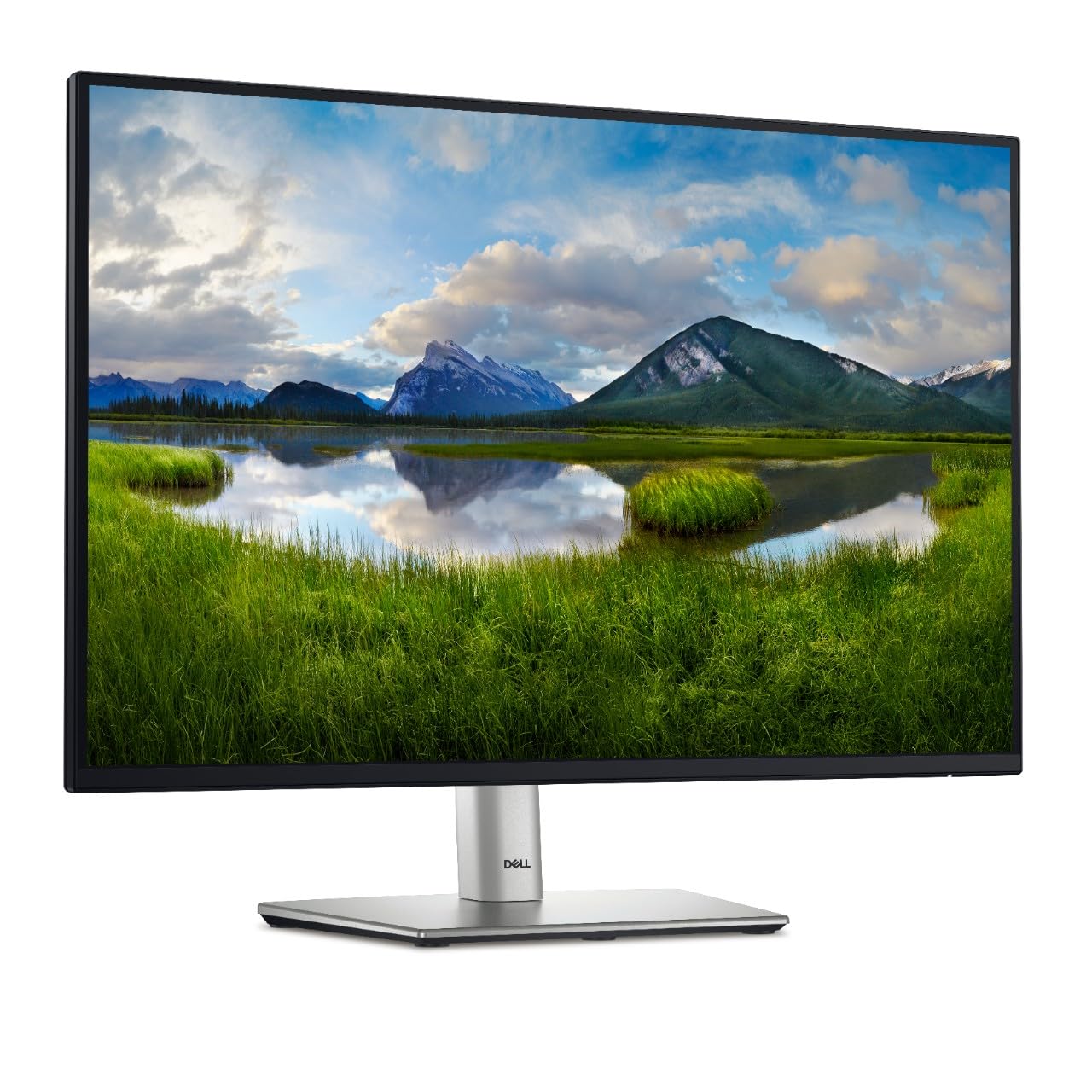 Dell P2425 24 WUXGA (1920x1200) 16:10 PC Display, 100Hz, IPS, 5ms, 99% sRGB, USB-C, DisplayPort, HDMI, VGA, 4X USB, 3 Year Warra
