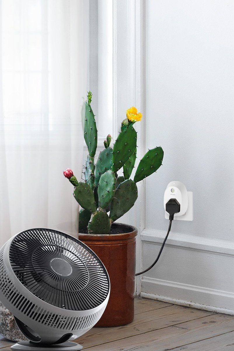 Tp-Link Wireless Smart Plug, Hs100