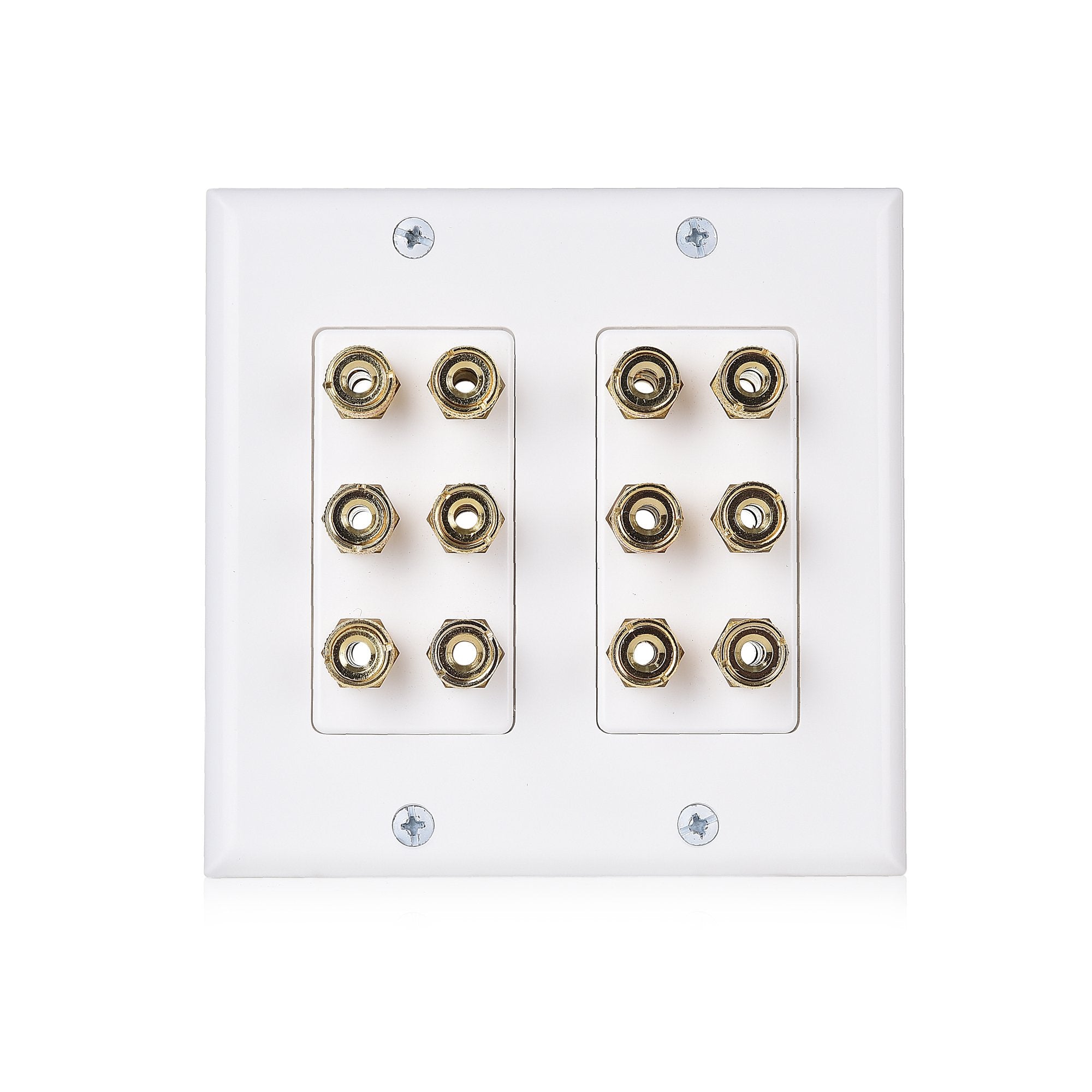 Cable Matters Double Gang Speaker Wire Wall Plate (Speaker Wall Plate, Banana Plug Wall Plate) for 6 Speakers in White