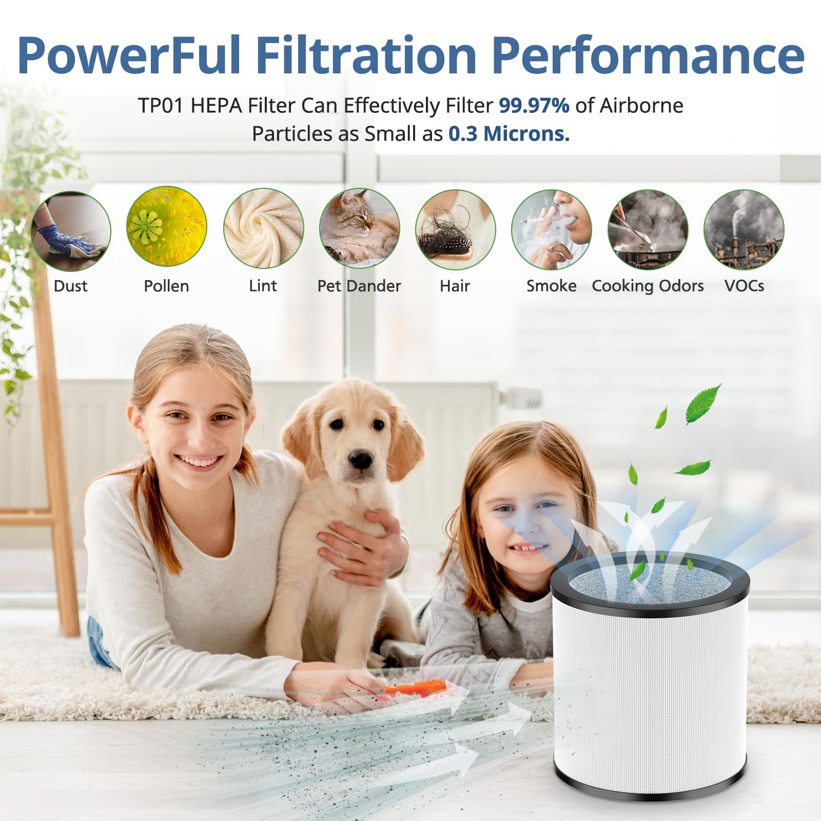 Upgraded Tp01 Hepa Replacement Filter Compatible With Dyson Tower Purifier Pure Cool Link Tp01, Tp02, Tp03, Am11, Bp01 Models, C