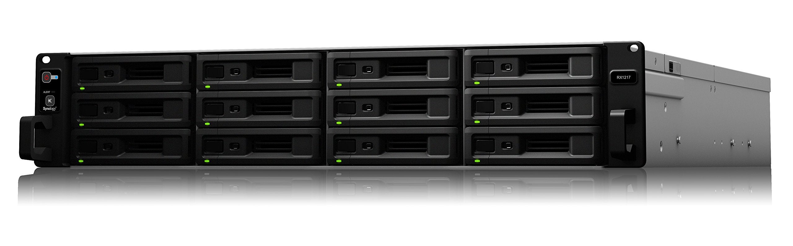 Synology Rx1217 Expansion For Rackstation (Diskless) 88 Mm X 482 Mm X 696 Mm