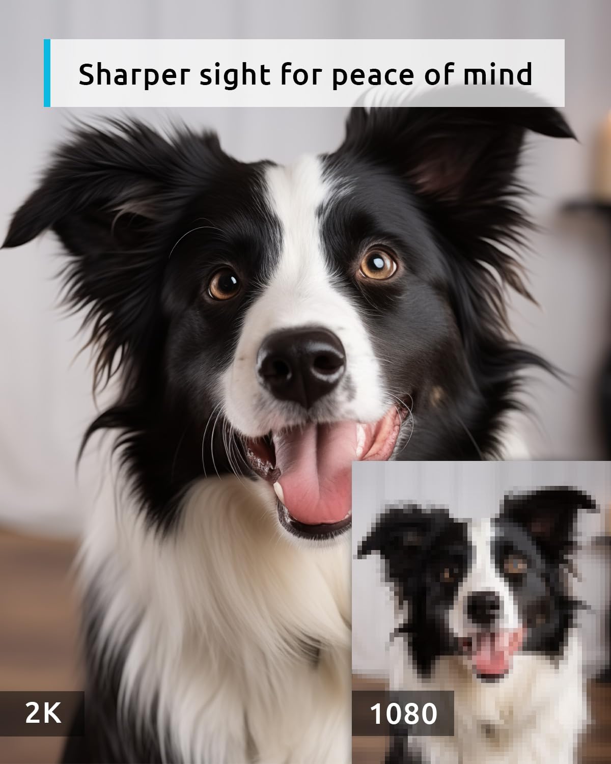 Blurams Pet Camera 2K, 360 Indoor Security Camera, Dog Camera With Phone App, Ptz Cameras For Home Security Indoor, 2 Way Audio,