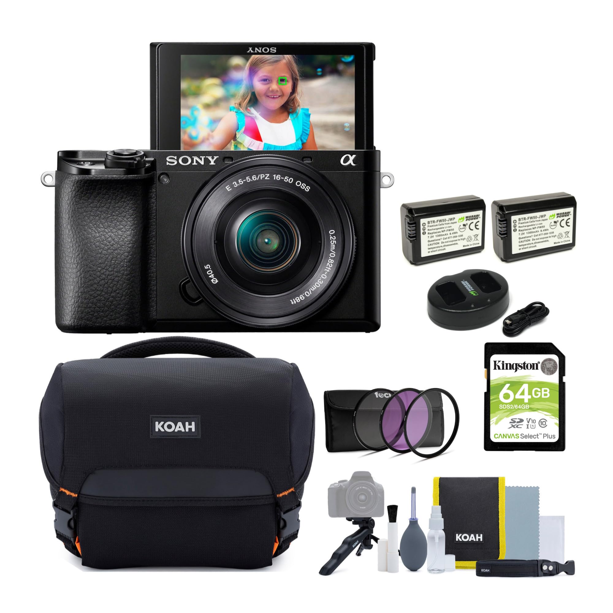 Sony Alpha a6100 APS-C Mirrorless Interchangeable-Lens Camera with 16-50mm Lens Bundle with Gadget Bag, 40.5mm 3-Piece UV, CPL, 