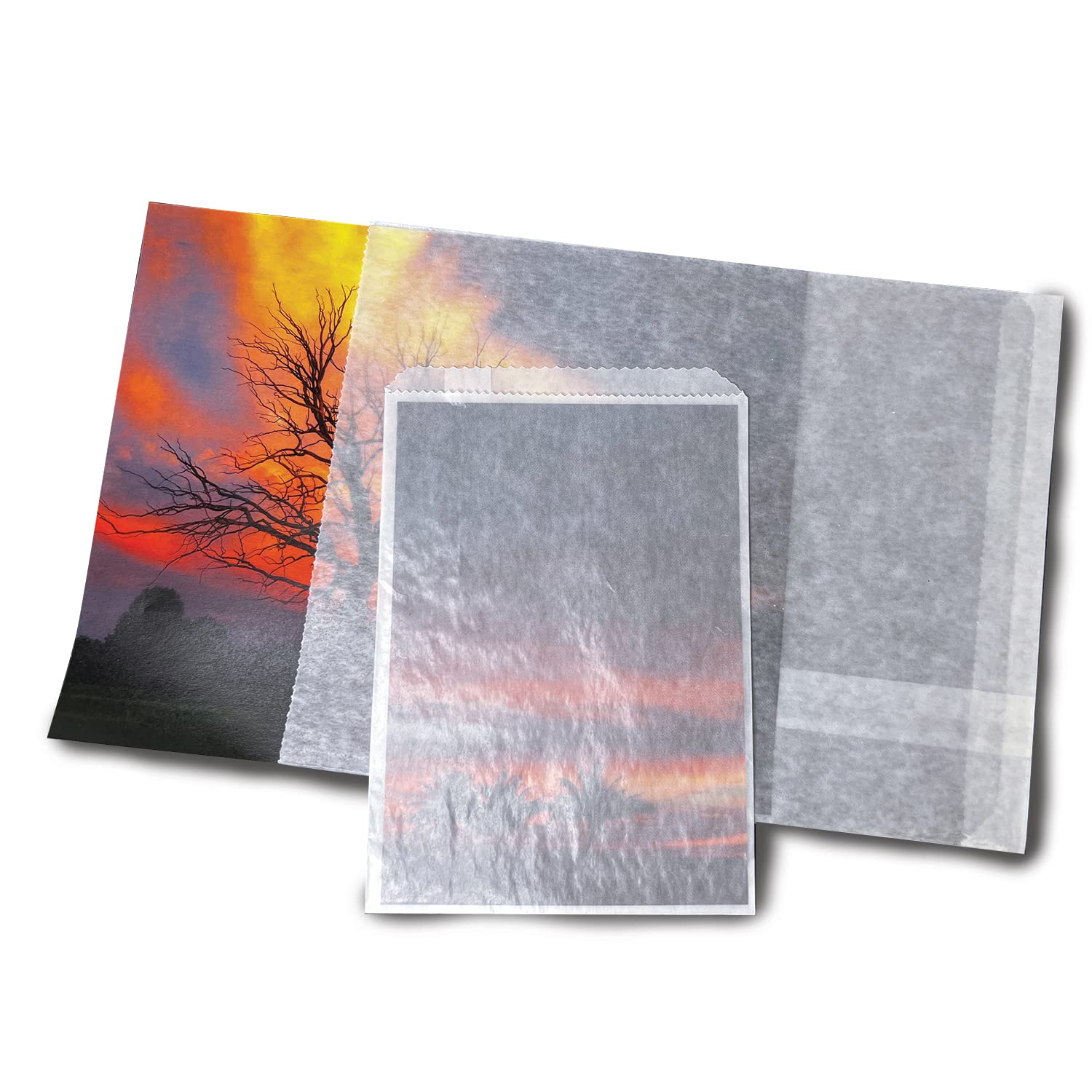 Lineco, Glassine Envelopes 4.25''X5.25'', Preserve Photos, Prints, Negatives. Store Stamps, Coins, Scrapbooking, Storage (Pack O