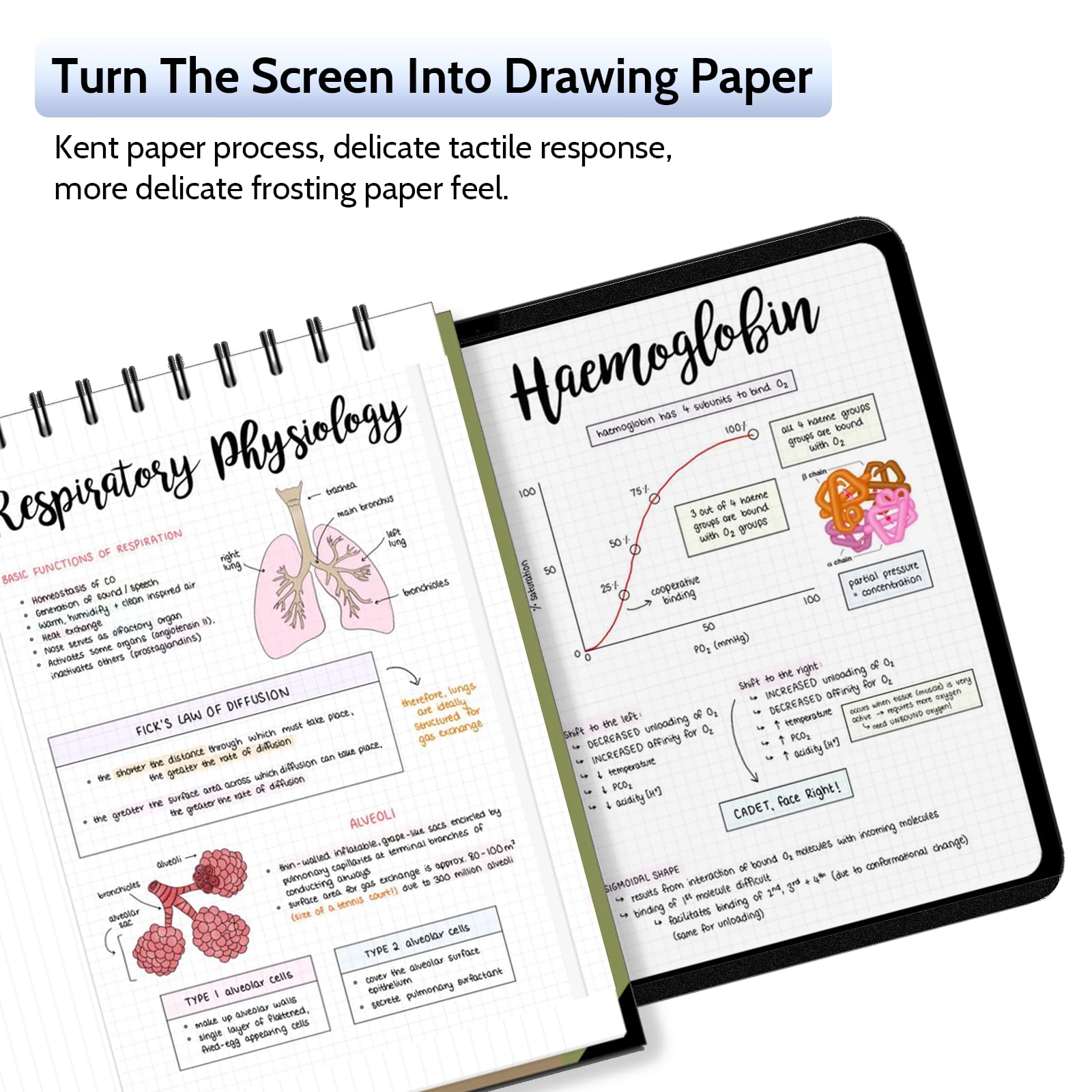 Peslv 2 Pack Magnetic Paperfilm For Ipad Pro 13 Inch 7Th (2024, M4), Feel Like Writing Drawing On Paper, Matte Removable Anti Gl