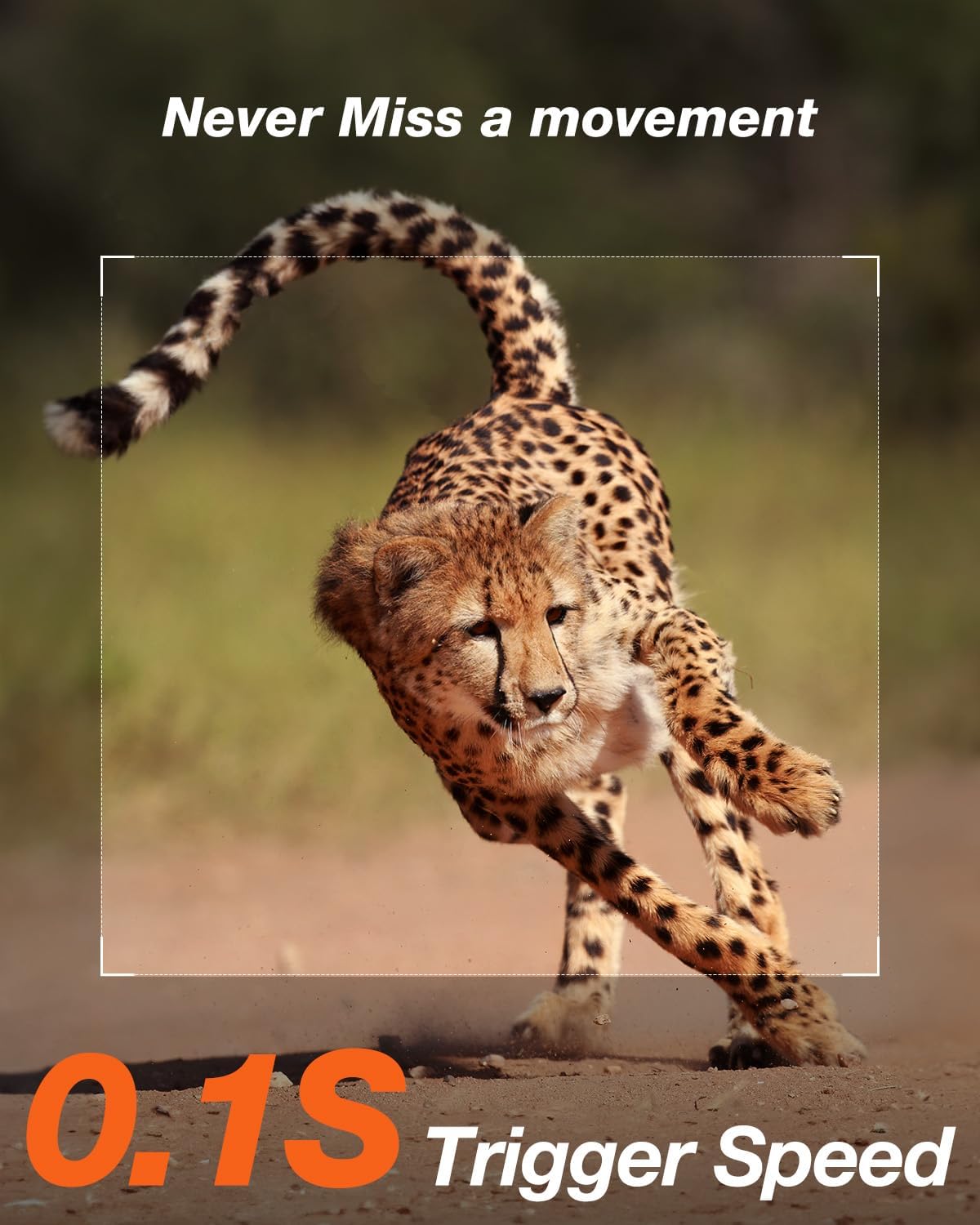 Izeeker Solar Trail Camera 36Mp 2.7K 30Fps With Night Vision 5200 Mah Rechargeable Lithium Battery No Glow Infrared Leds, Game C