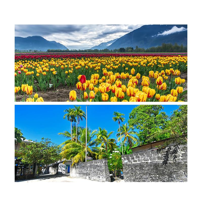 Coyktonty Mini 4 Pro Wide Angle Lens For Dji Mini 4 Pro,Expands Shooting Range By 25%,0.75 X Wide Angle 110 Shooting Range