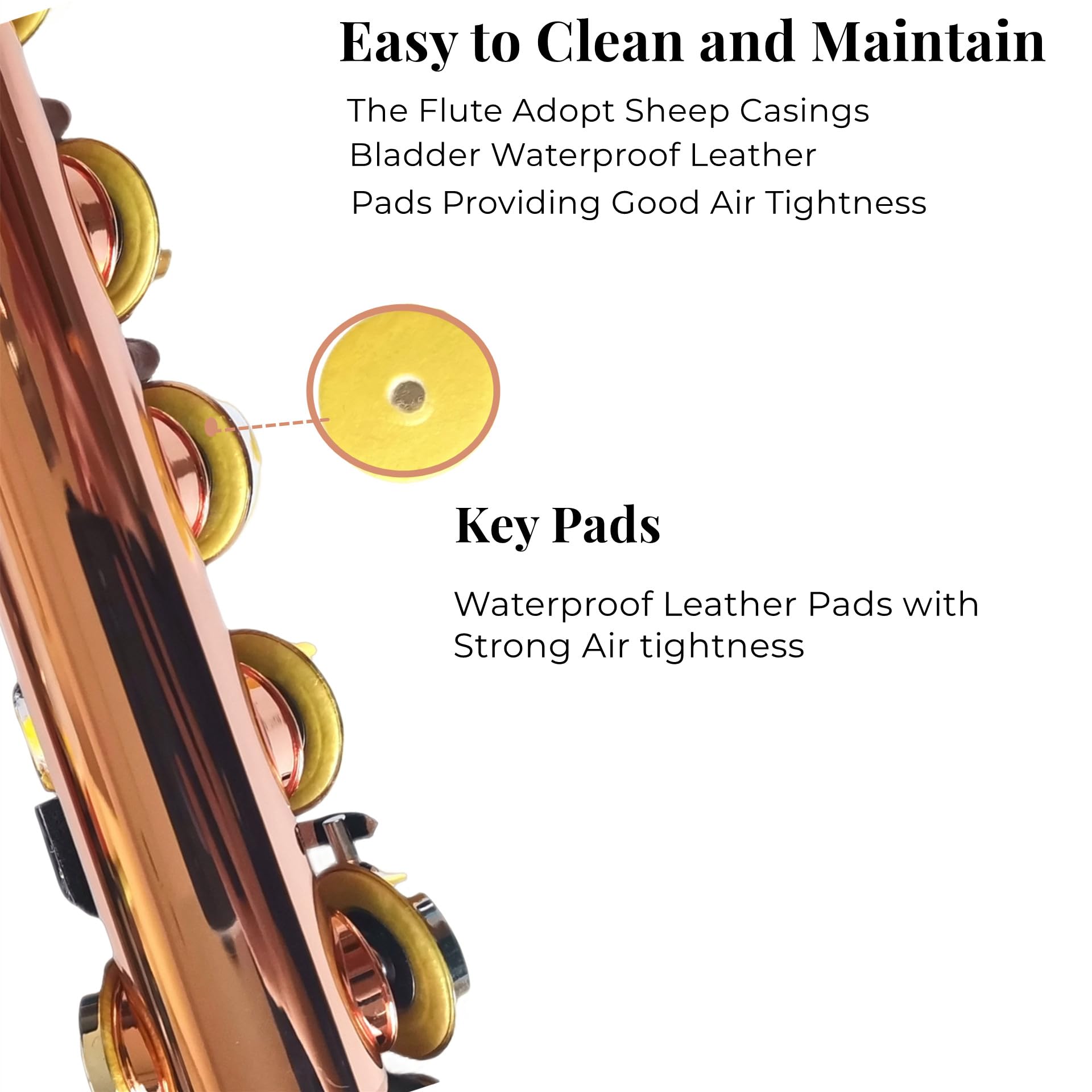 Kayata Flutes, Closed Hole C 16 Keys Flute Instrument, Student Flute For Beginner Advanced Player With Flute Cleaning Kit, Carry