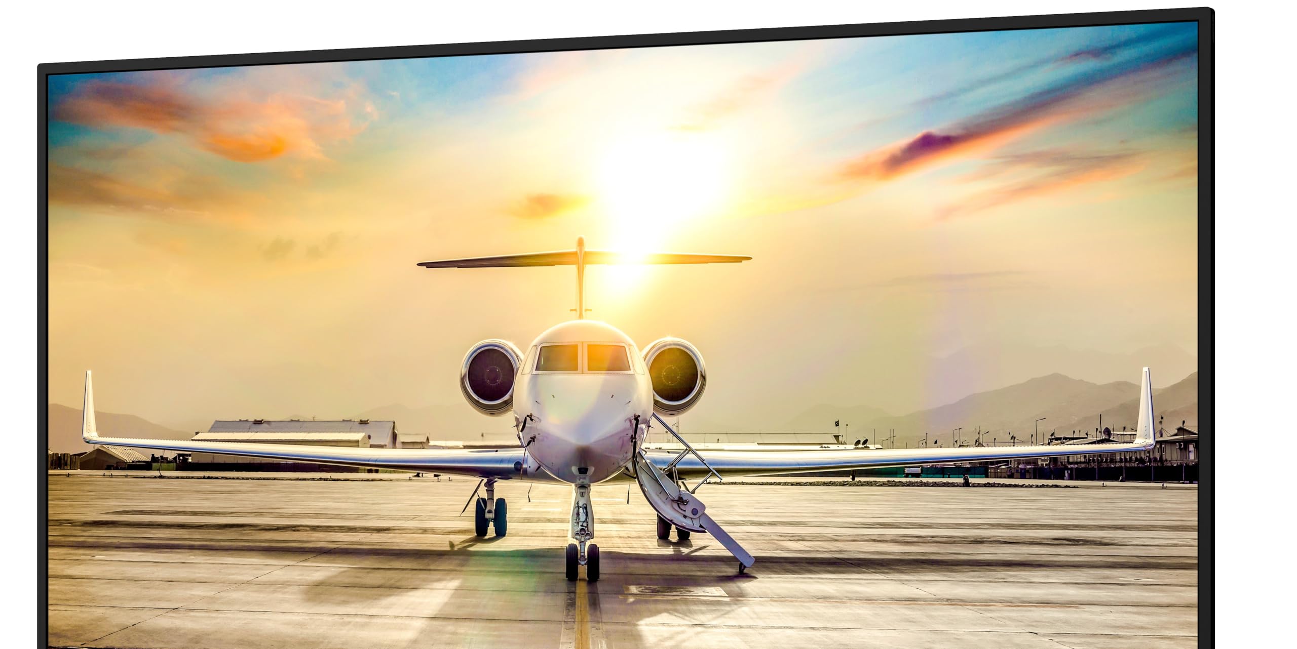 55 UHD Professional Display
