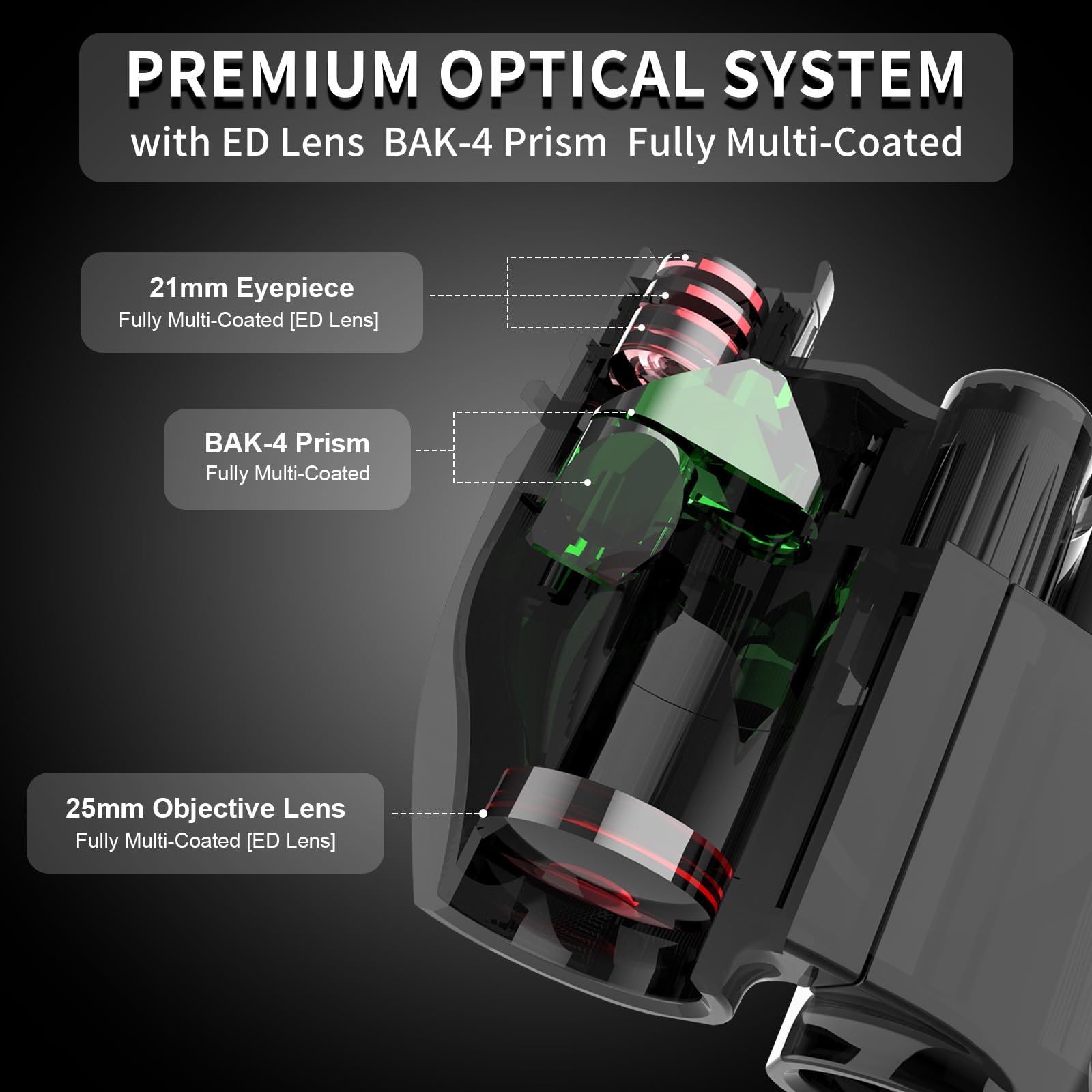 6X25 Compact Binoculars, Bak-4 Prism 9.5 Wide Field Of View 21Mm Eyepiece With Ed Lens, Black