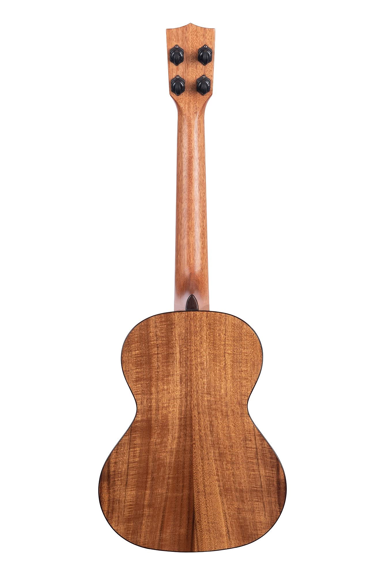 Kala Brand Music Co. Gloss Solid Cedar Top Acacia, 4 String Ukulele, Natural, Tenor (Ka Scac T)