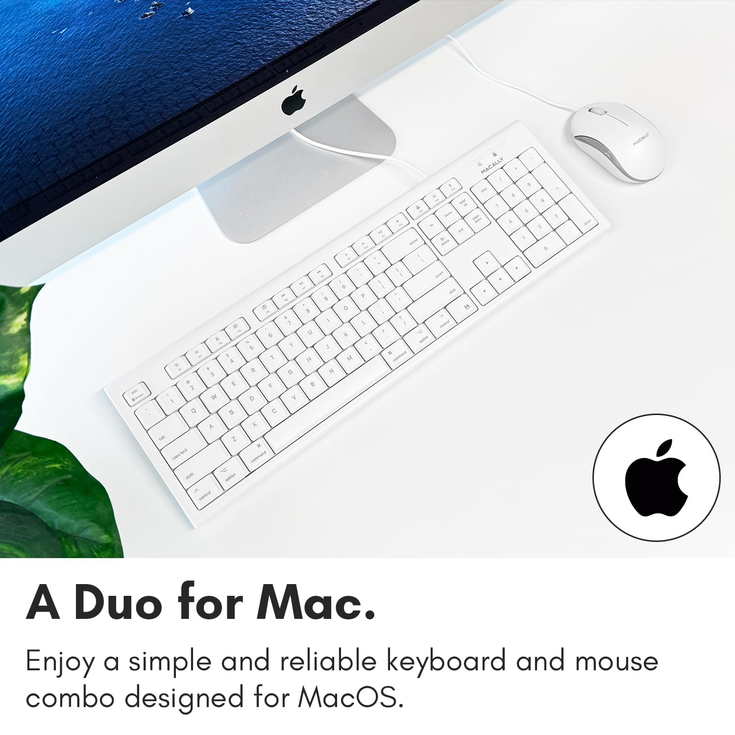 Macally Full Size Usb Wired Mac Keyboard And Mouse Combo - Compatible Ergonomic Apple Keyboard And Mouse With Mac Shortcuts And