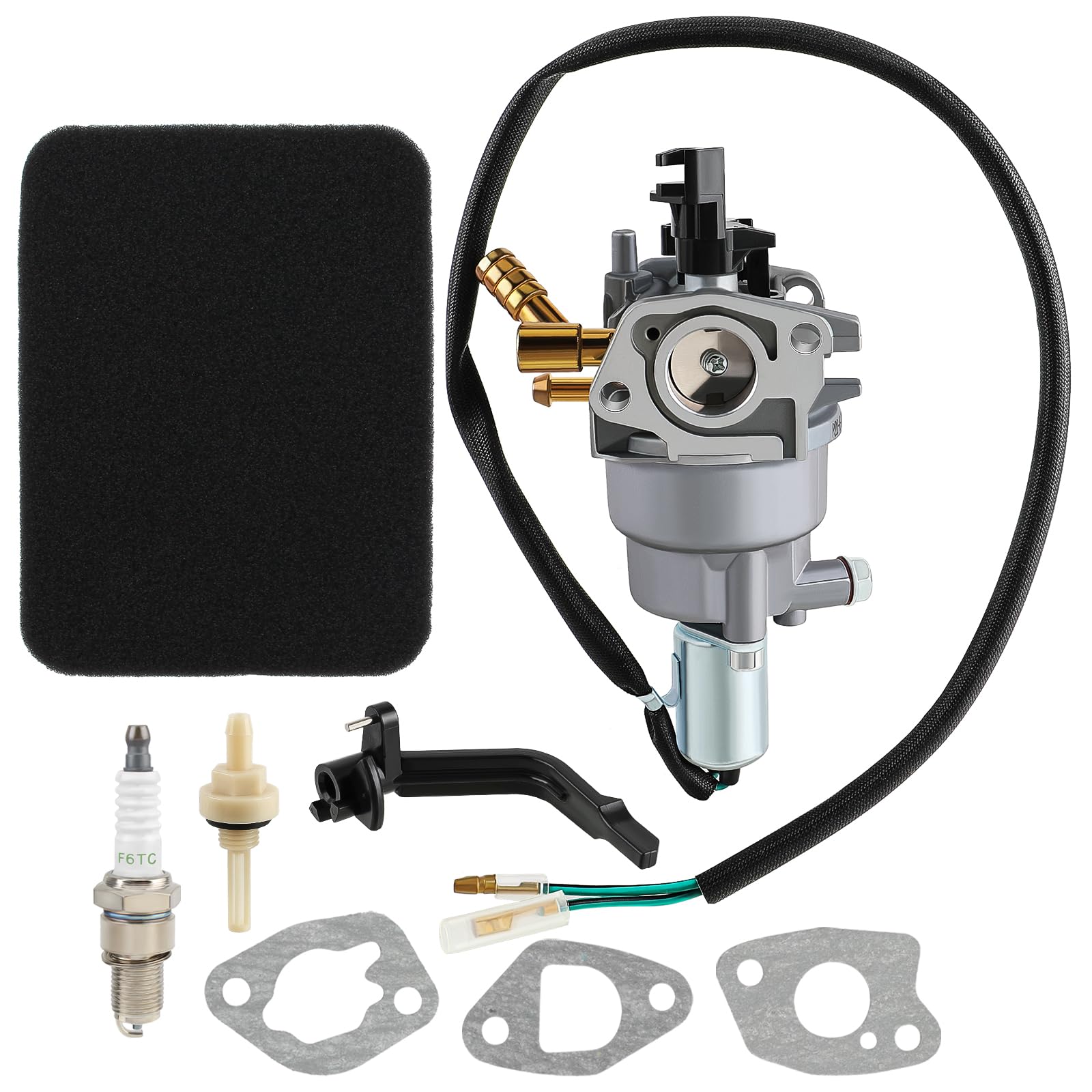 Autokay 76533 Dual Fuel Generator Carburetor Fits For Champion Power Equipment 76533 3800W 3500W 4750 Watt 100307 100397 100401