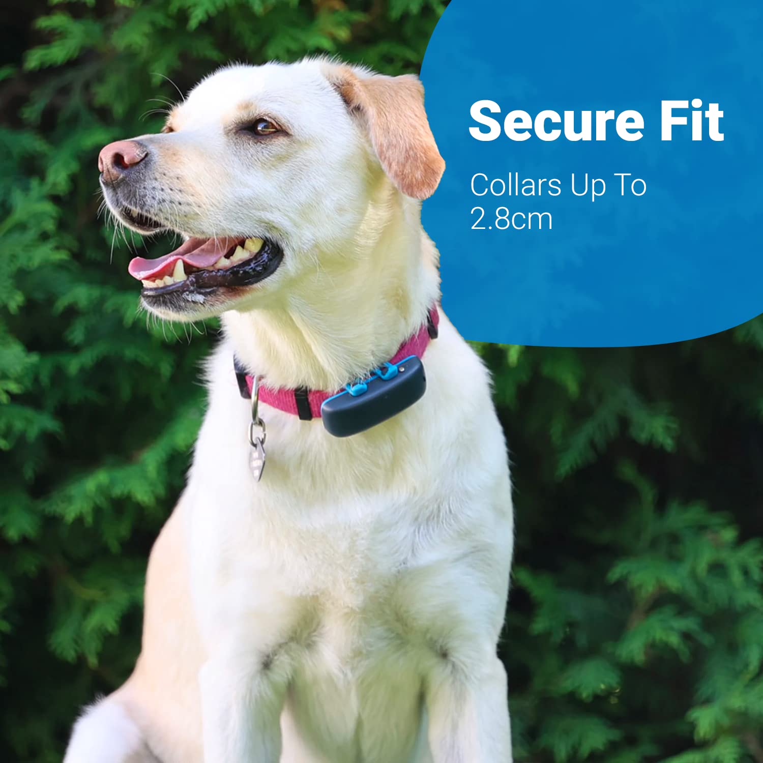 Tractive Gps Dog Tracker Rubber Attachment Clips (Pack Of 3), Blue, 2.8 Cm