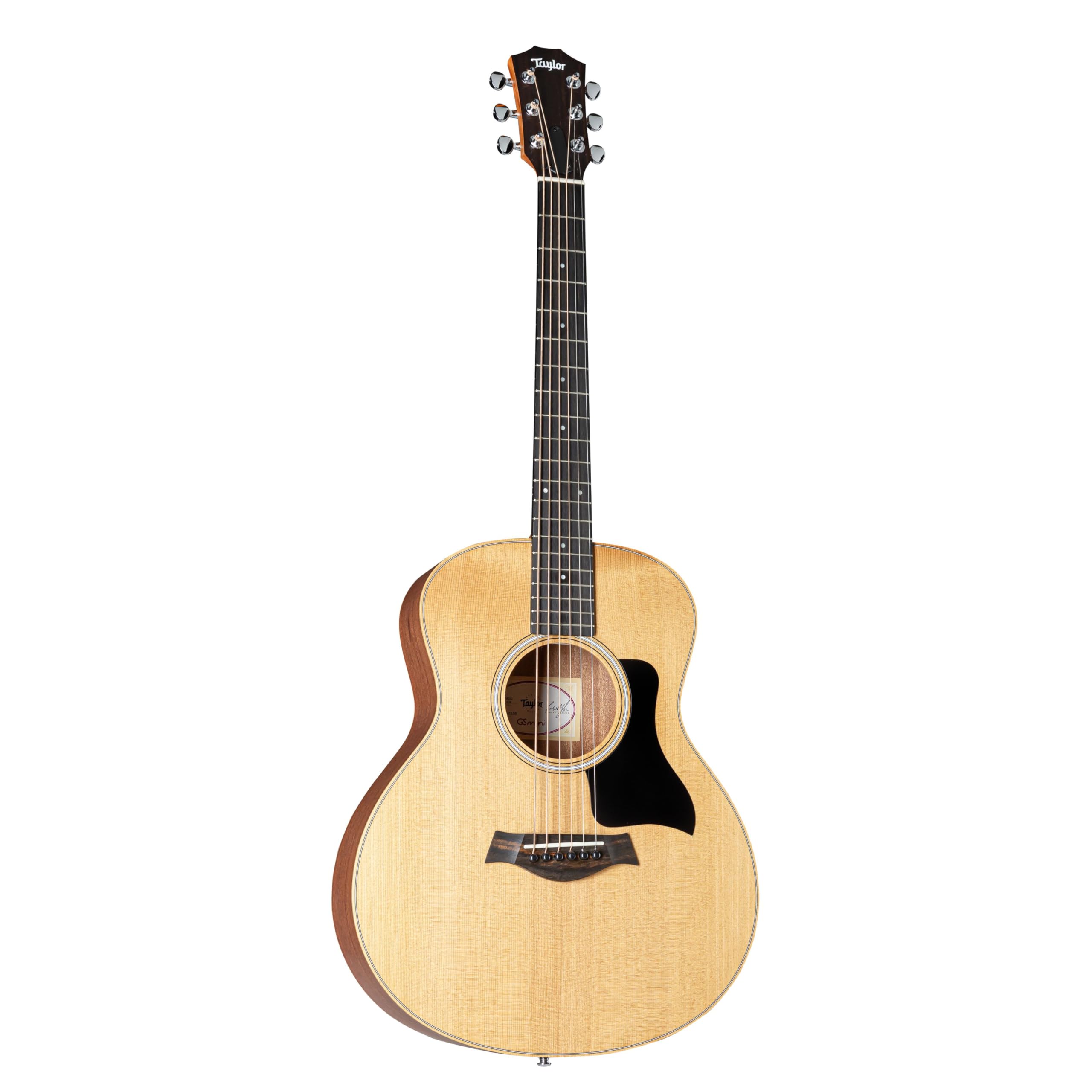 Sapele GS Mini by Taylor