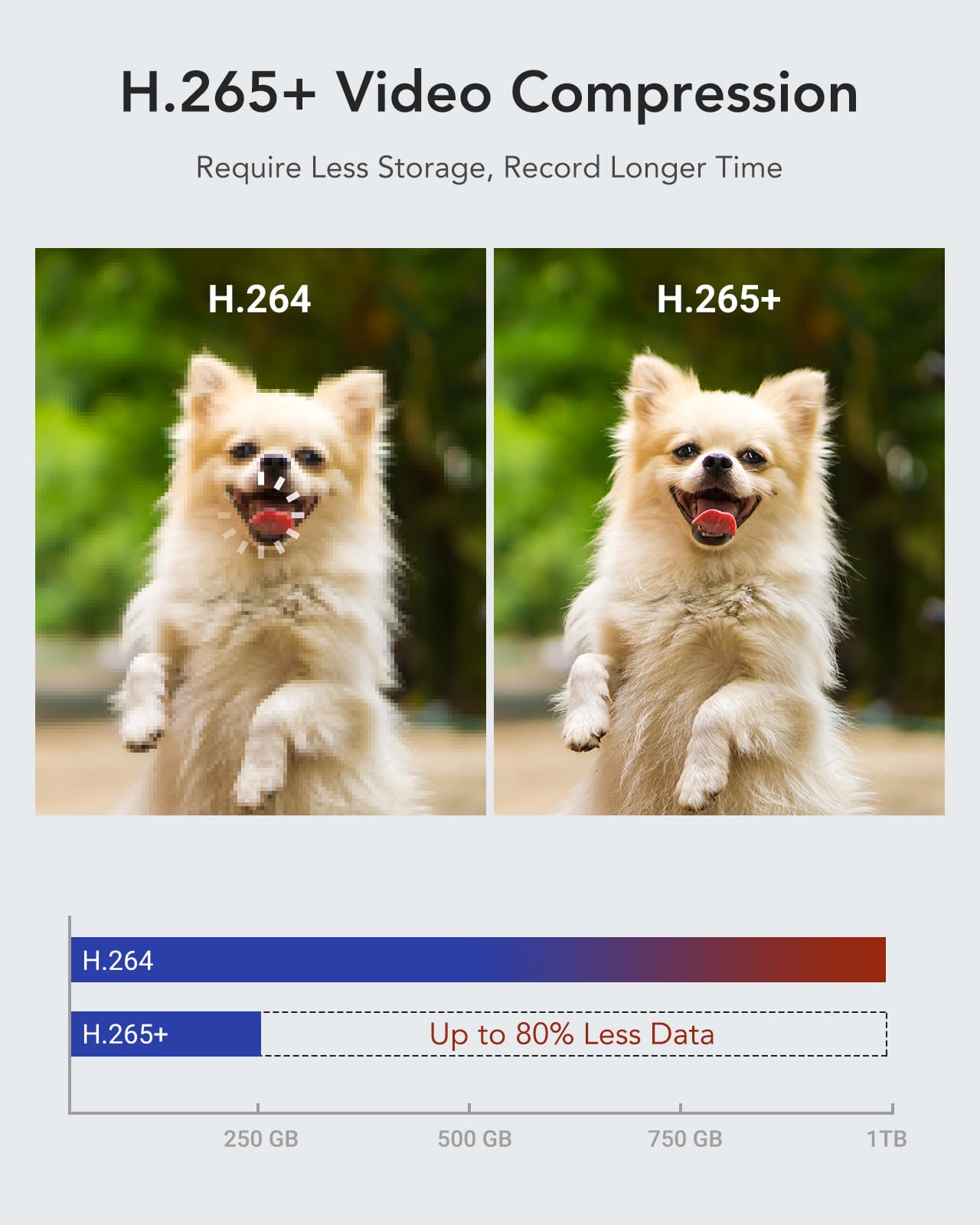 Annke 16Ch 1080P Lite Hybrid 5 In 1(Tvi/Ahd/Cvi/Cvbs/Ipc) Cctv Dvr, Motion Detection, H.265+ Security 16 Channel Surveillance Digital Video Recorder With 2Tb Hard Drive, Easy Remote Access