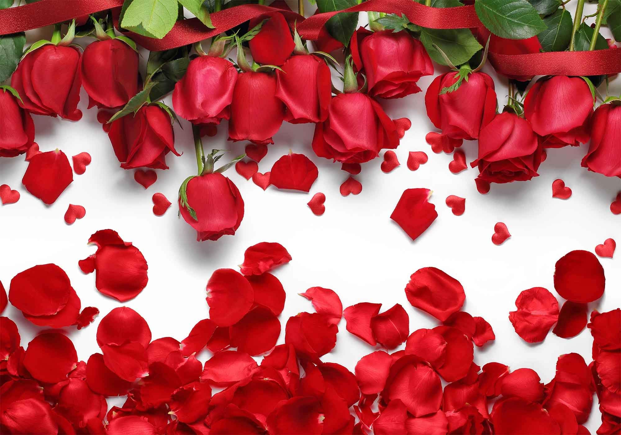Mtmety 10X7Ft White Background Romantic Red Rose Petals For Sweet 16 Party Photo Booth Props Backdrop Lfme403