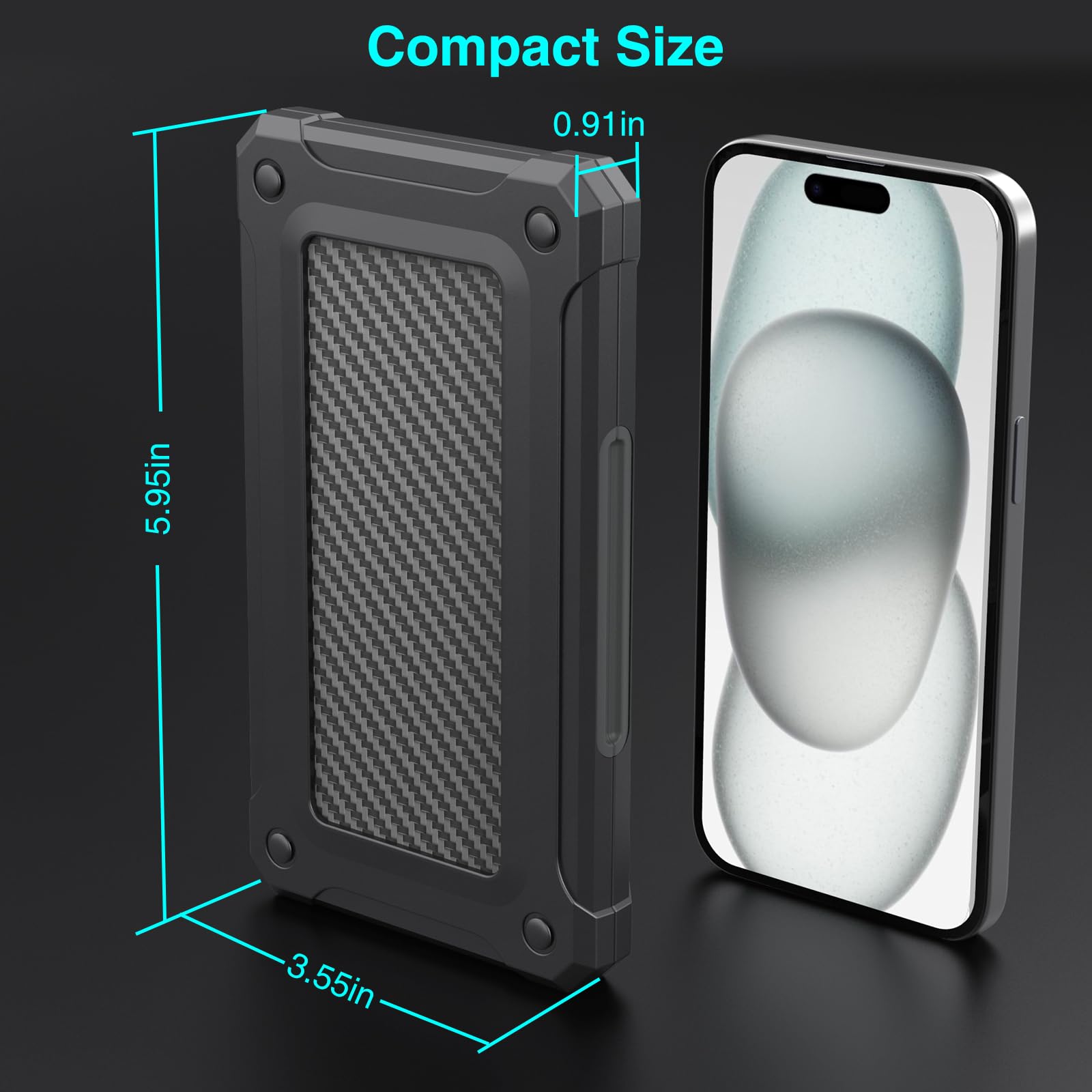 THELIFELICIOUS SD Card Holder Case for 20 SDXC/SDHC & 20 TF Cards, Plastic, Black, Model JM06