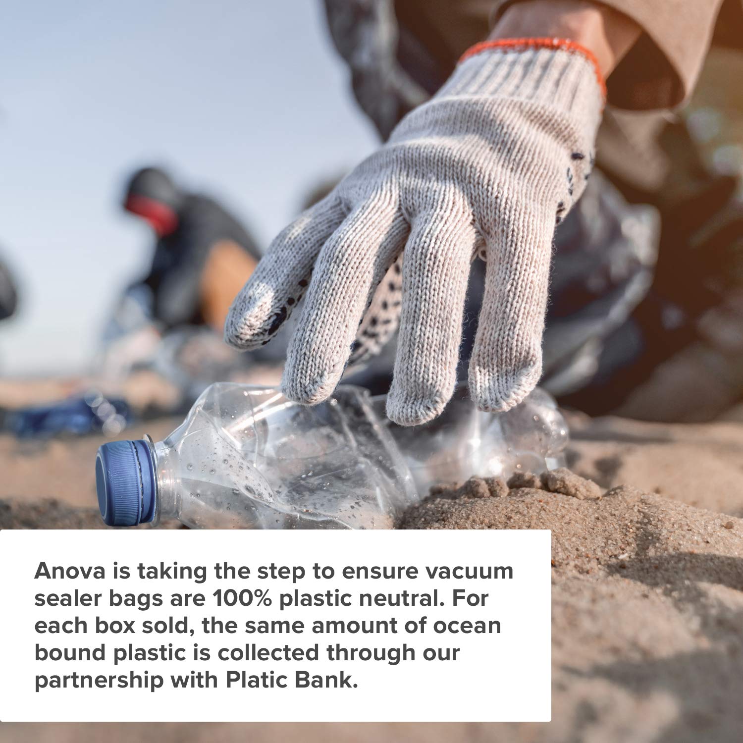 Anova Culinary Precision Vacuum Sealer Bags (Pre-Cut),Clear