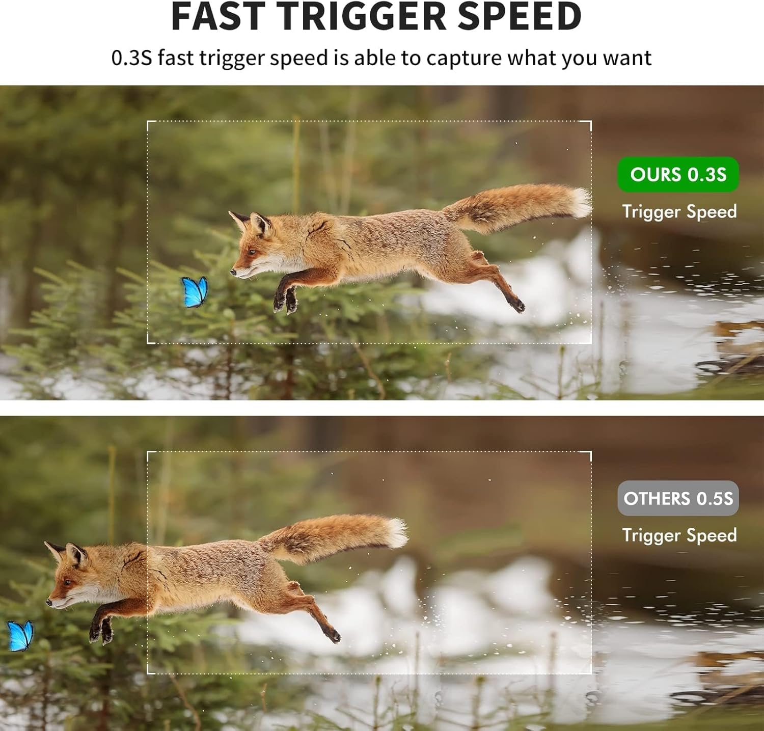 Wosports Mini Trail Camera 2 Pack, 24Mp 1080P Hd Game Camera With Sd Card And 8Aa Batteries, Fast Trigger Time Infrared Night Vi