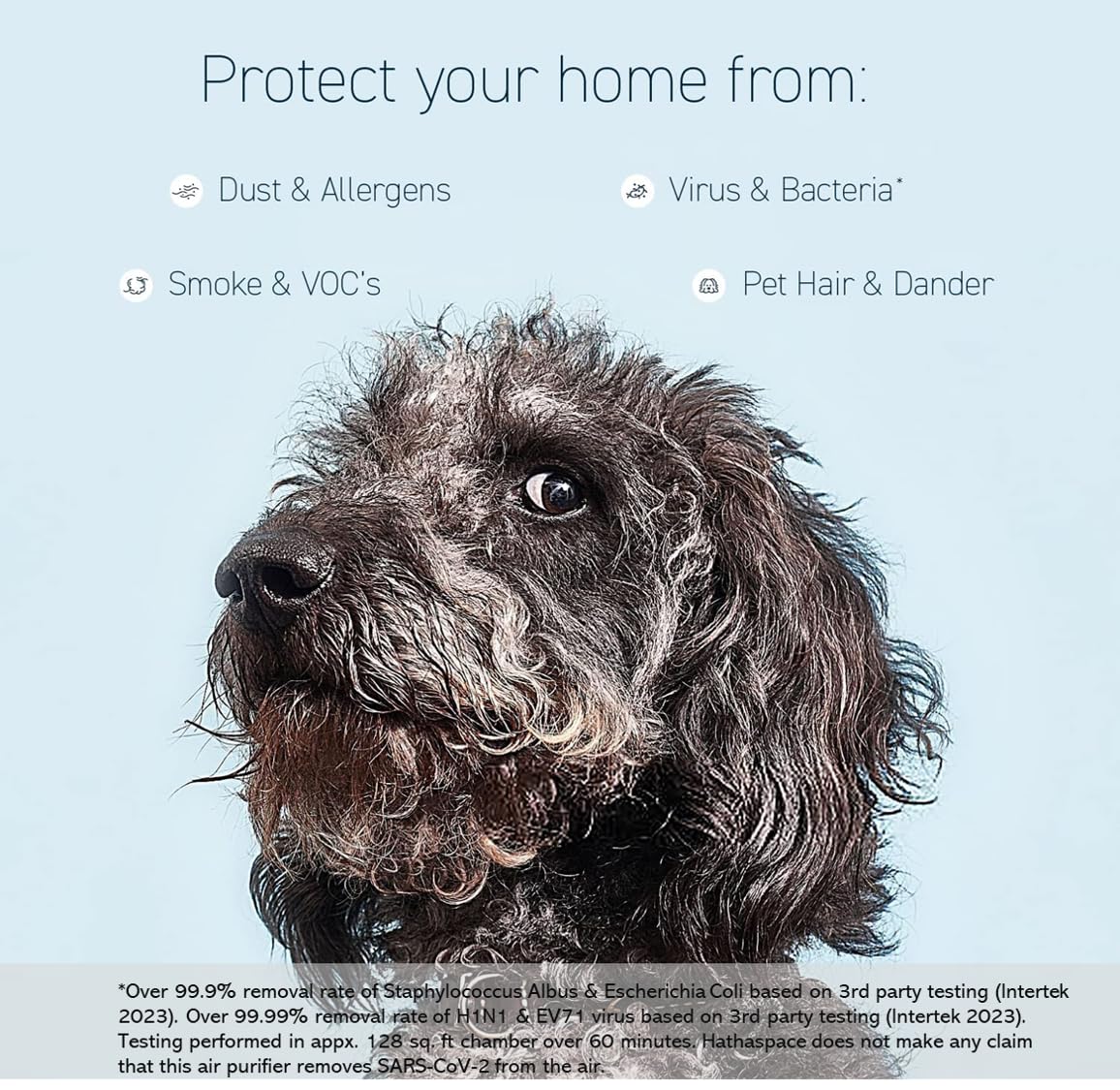 Hathaspace Hse200 Smart True Hepa Air Purifier For Home, Small Air Cleaner With Activated Carbon Filter, Removes 99.9% Of Dust,