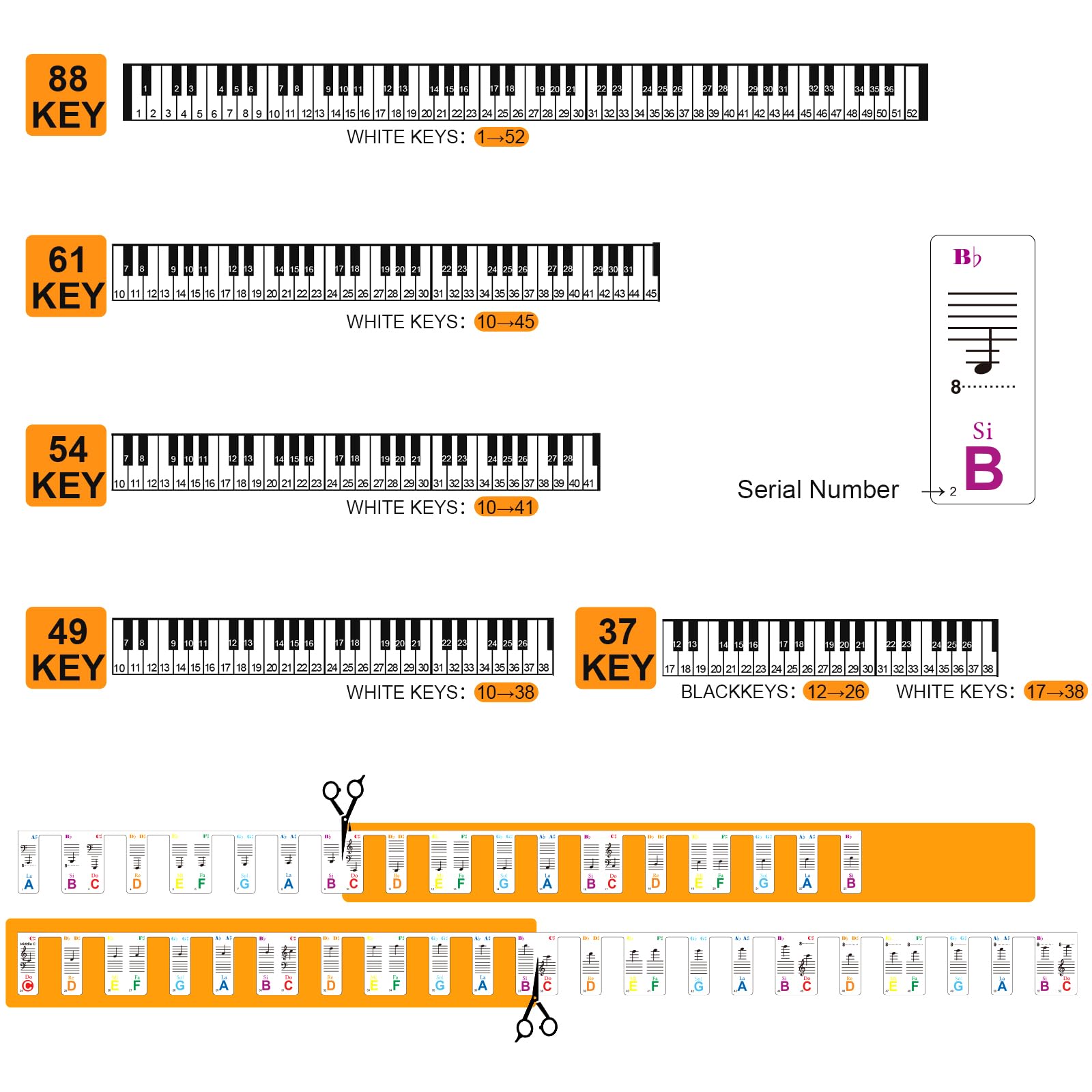 JYCSTE Removable Piano Keyboard Note Labels, Colorful PVC Stickers for 88 Key Piano, Beginner-Friendly, Model RM