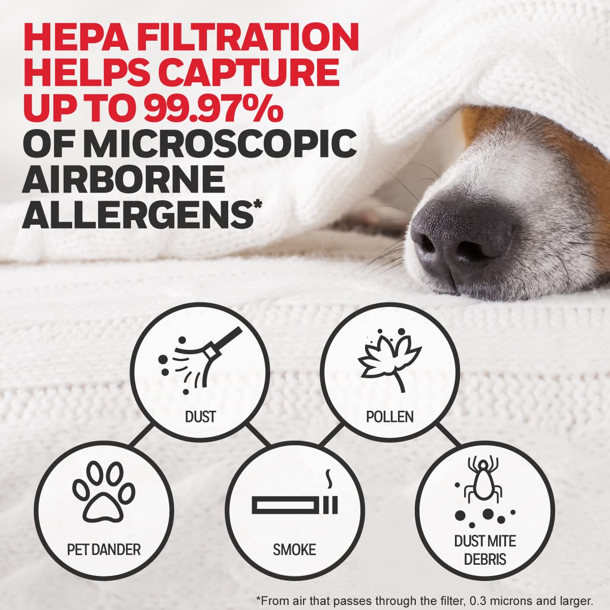 Honeywell HEPA Air Purifier Filter Kit - 3 HEPA R Filters & 4 Carbon Pre-Filters, 3.9"x13.4"x17.1", Black, Model HR