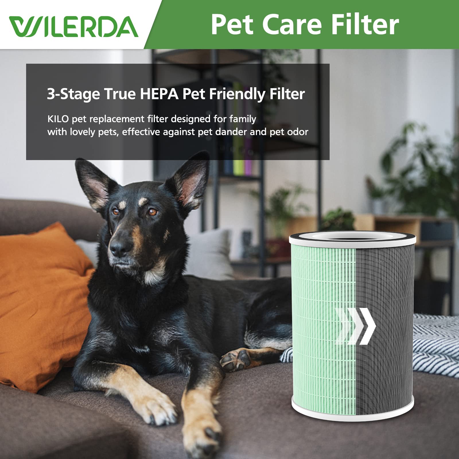 2 Pack True Hepa H13 Kilo Pet Filter, Compatible With Afloia Kilo, Kiloplus, Kilopro, Miro,Miro Pro And Morento Mr Kilo, Kalo Ai