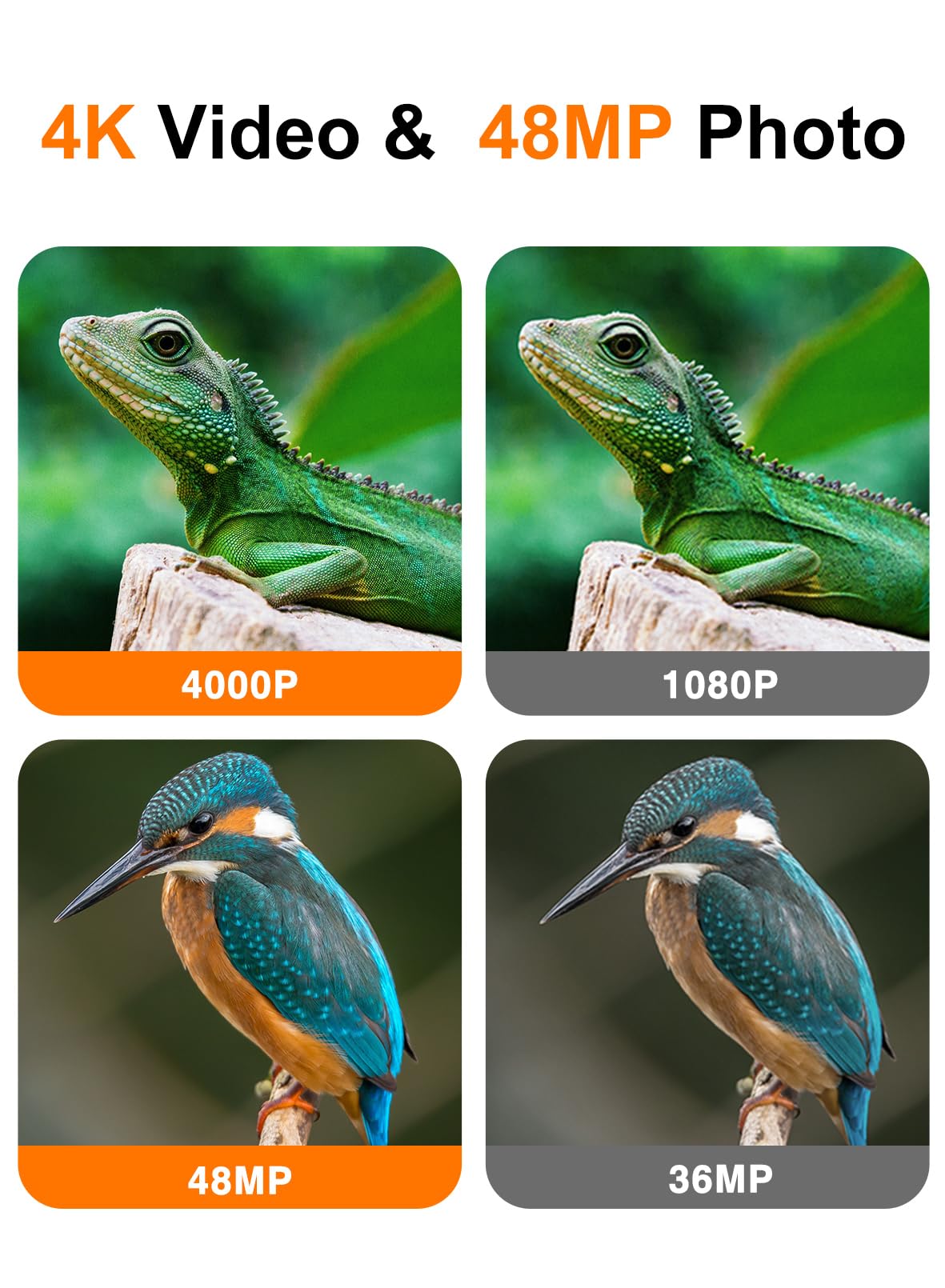 Dargahou Trail Camera   4K 48Mp Game Camera With Night Vision, 0.05S Trigger Motion Activated Hunting Camera, Ip66 Waterproof, 1