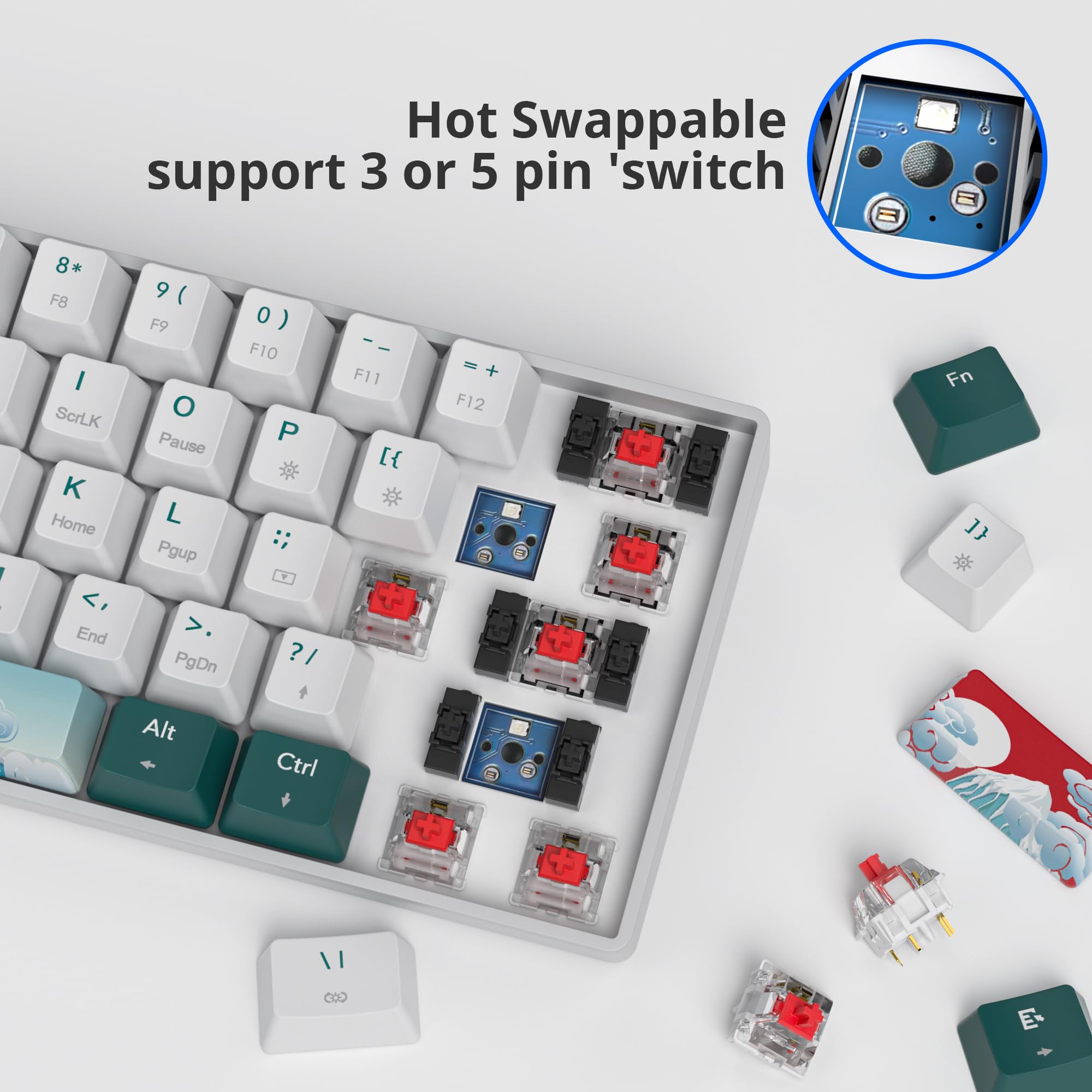 surmen Wireless 60% Gaming Keyboard, Hot Swappable RGB, Mini Bluetooth, Gateron Red Switch, Green 61, USB-C, for Windows/Mac
