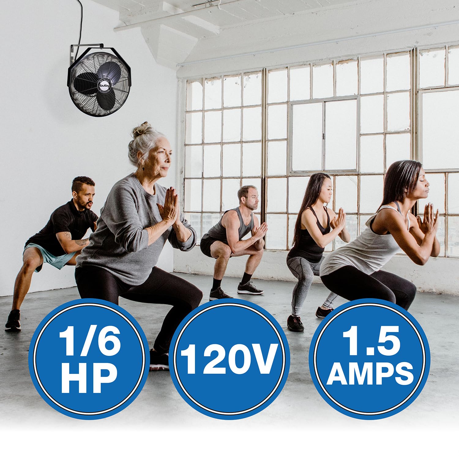 Air King 9518 18 Inch Industrial Grade Wall Mount Fan, 1/6 Horsepower,Black