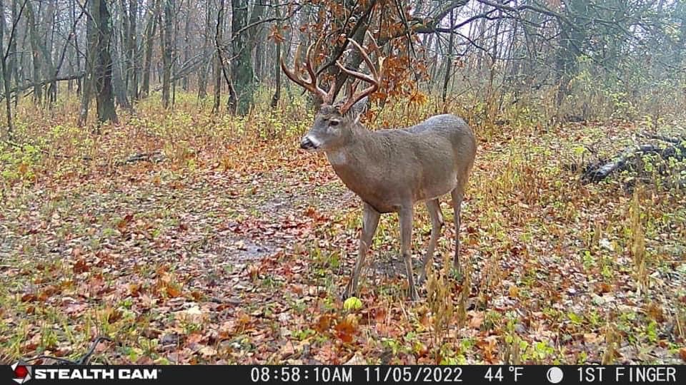 Stealth Cam Fusion X-Pro Dual Sim 36MP Trail Camera - 720P HD Video, 0.4 Sec Trigger Speed, Wireless, Brown - AT&T & Verizon Compatible