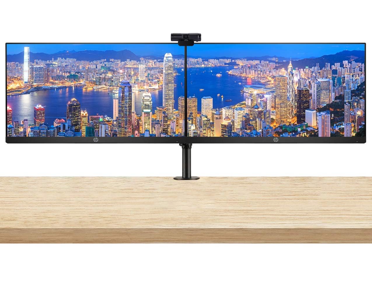 HP P224 21.5 Inch FHD LEDBacklit LCD IPS AntiGlare Monitor (HDMI, VGA, DisplayPort) 2Pack Bundle with PW313 Full HD 1080p Liv