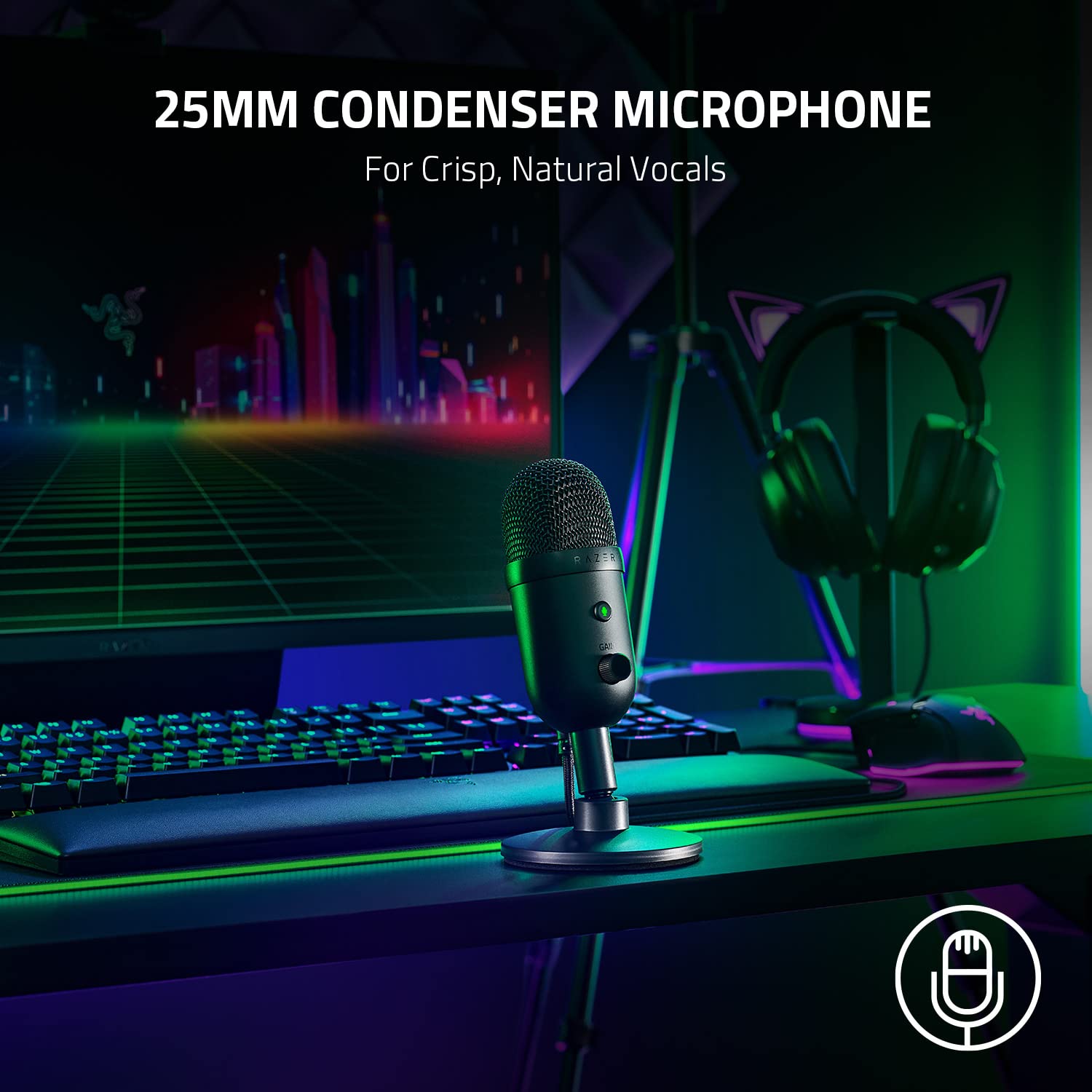 Razer Seiren V2 X Usb Condenser Microphone For Streaming And Gaming On Pc: Supercardioid Pickup Pattern   Integrated Digital Lim