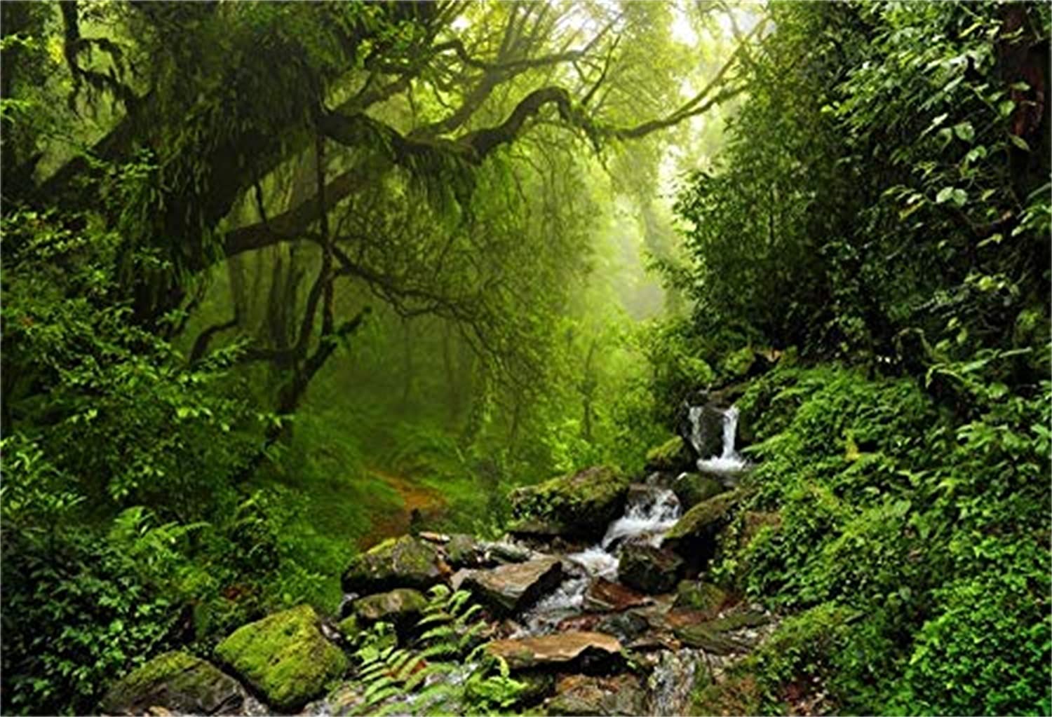 Lfeey 10X8Ft Graceful Natural Scenery Backdrop Evergreen Forest Jungle Rock Flowing Mountain Stream Rainforest Photography Backg