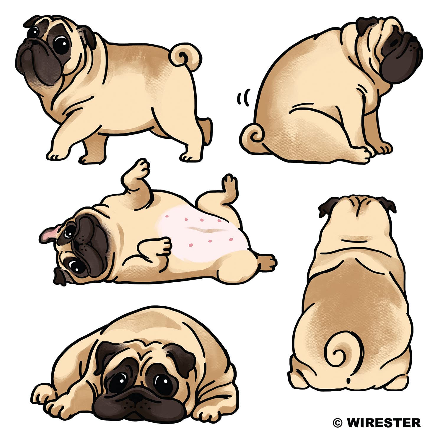 Fincibo 5 X 5 Inch Pug Funny Playful Postures Removable Vinyl Decal Stickers For Ipad Macbook Laptop (Or Any Flat Surface)