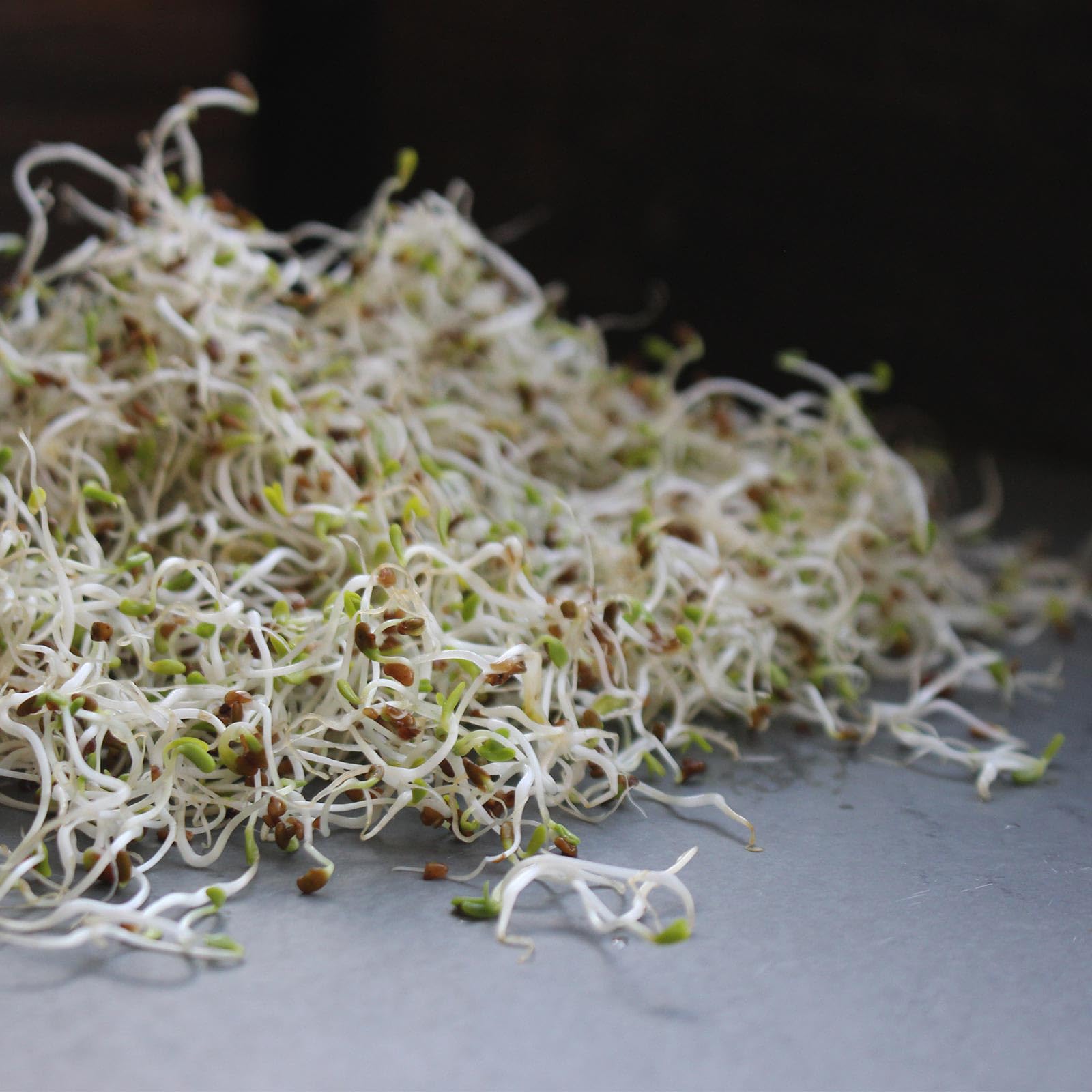 Certified Organic Alfalfa Sprouting Seed   4 Oz   Handy Pantry Brand   High Sprout Germination  Edible Seeds, Gardening, Hydropo