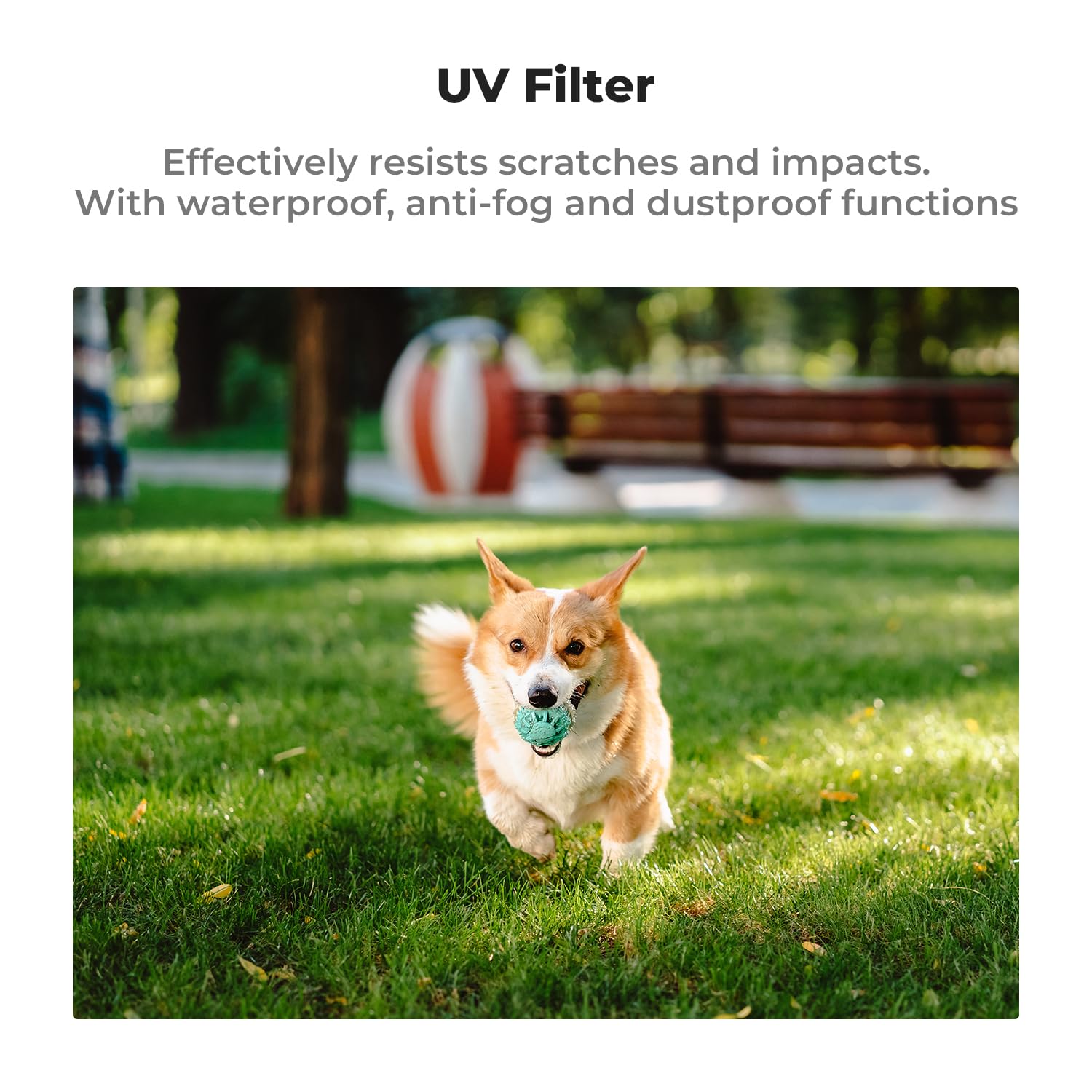 K&F Concept Uv/Cpl/Nd Filter Set Compatible With Dji Osmo Pocket 3, 6 Pack Magnetic Uv+Cpl+Nd16/Pl+Nd32/Pl+Nd64/Pl+Nd256/Pl Prot