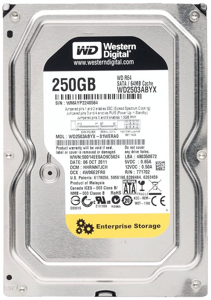 250Gb 7200Rpm 64Mb Cache Sata 3Gb/S  Re4   Wd2503Abyx
