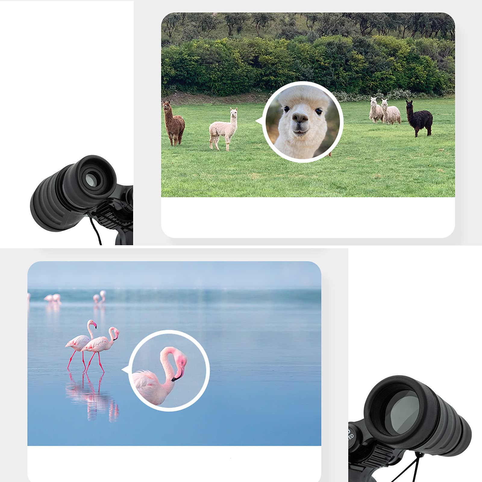 Ouxia Kid Binoculars Best Gifts For 3 12 Years Boys Girls Shock Proof Toy Binoculars For Bird Watching