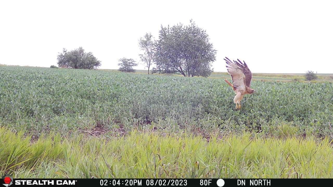 Stealth Cam Fusion X-Pro Dual Sim 36MP Trail Camera - 720P HD Video, 0.4 Sec Trigger Speed, Wireless, Brown - AT&T & Verizon Compatible