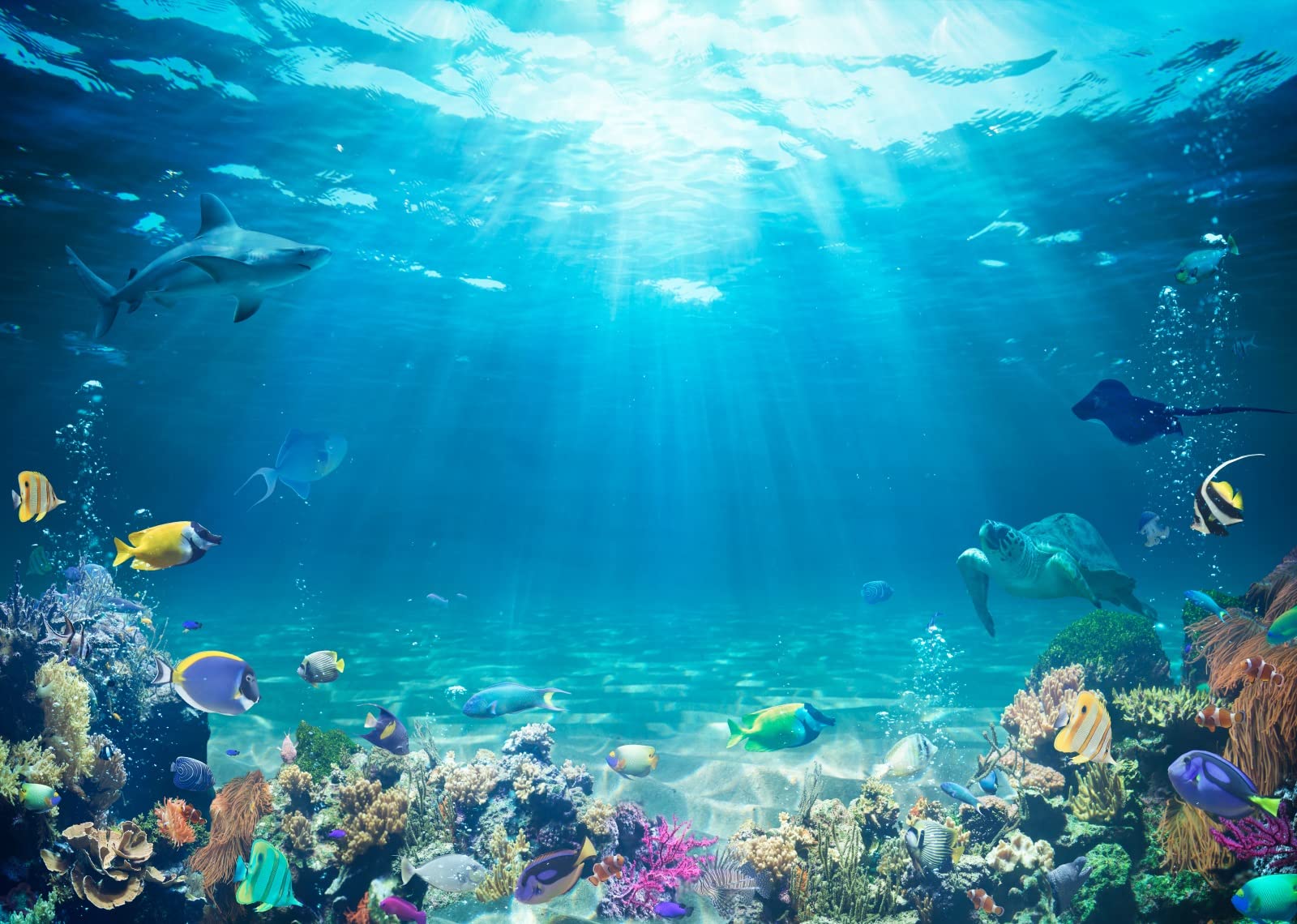 BELECO Underwater World Backdrop 7x5ft Fabric Undersea Backdrop for Photography Under The Sea Tropical Fish Dolphin Turtle Coral