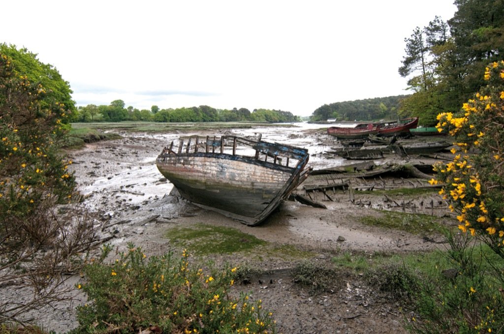 Cokin P Series Graduated Nd Grey G2 Filter